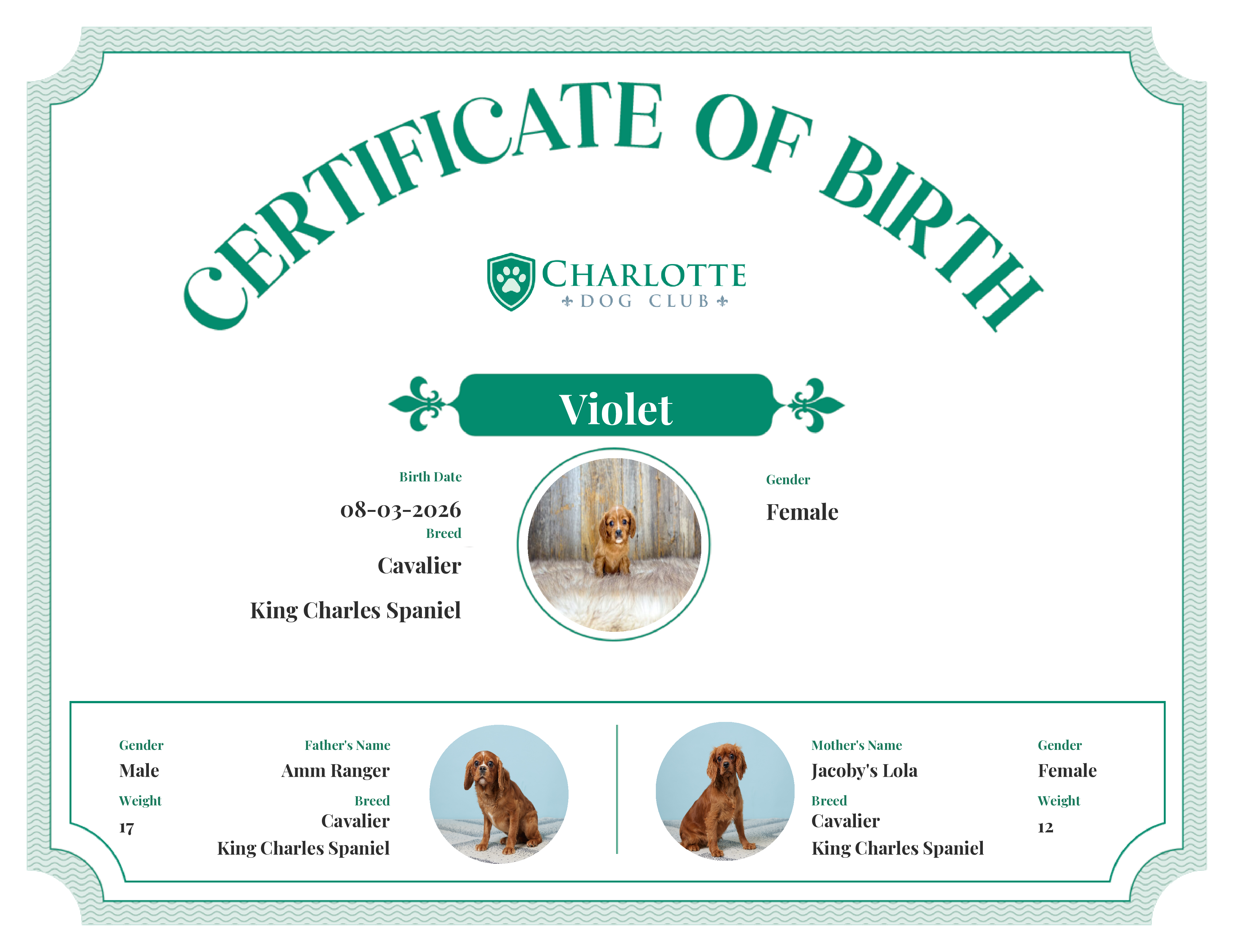 Violet's Birth Certificate