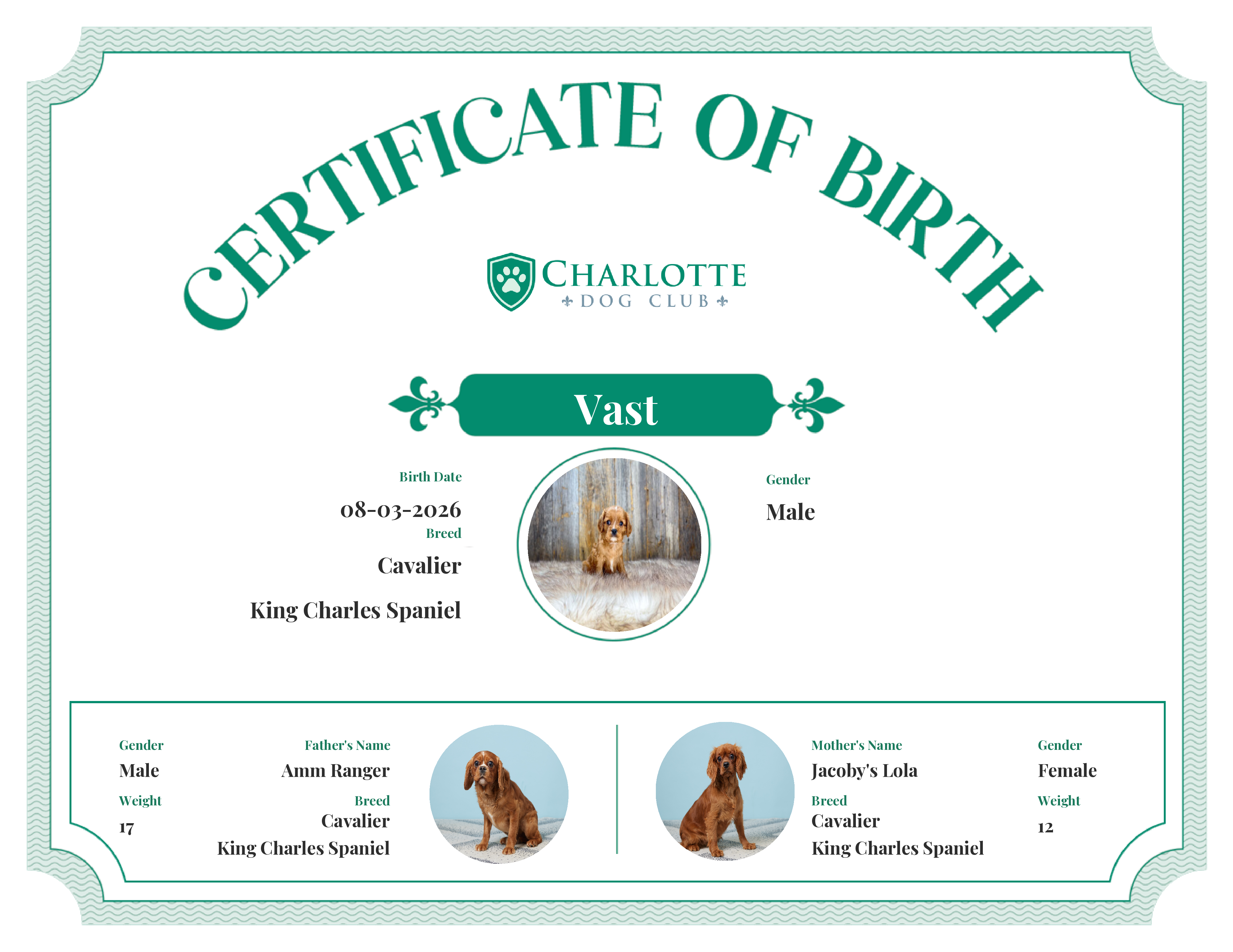 Vast's Birth Certificate