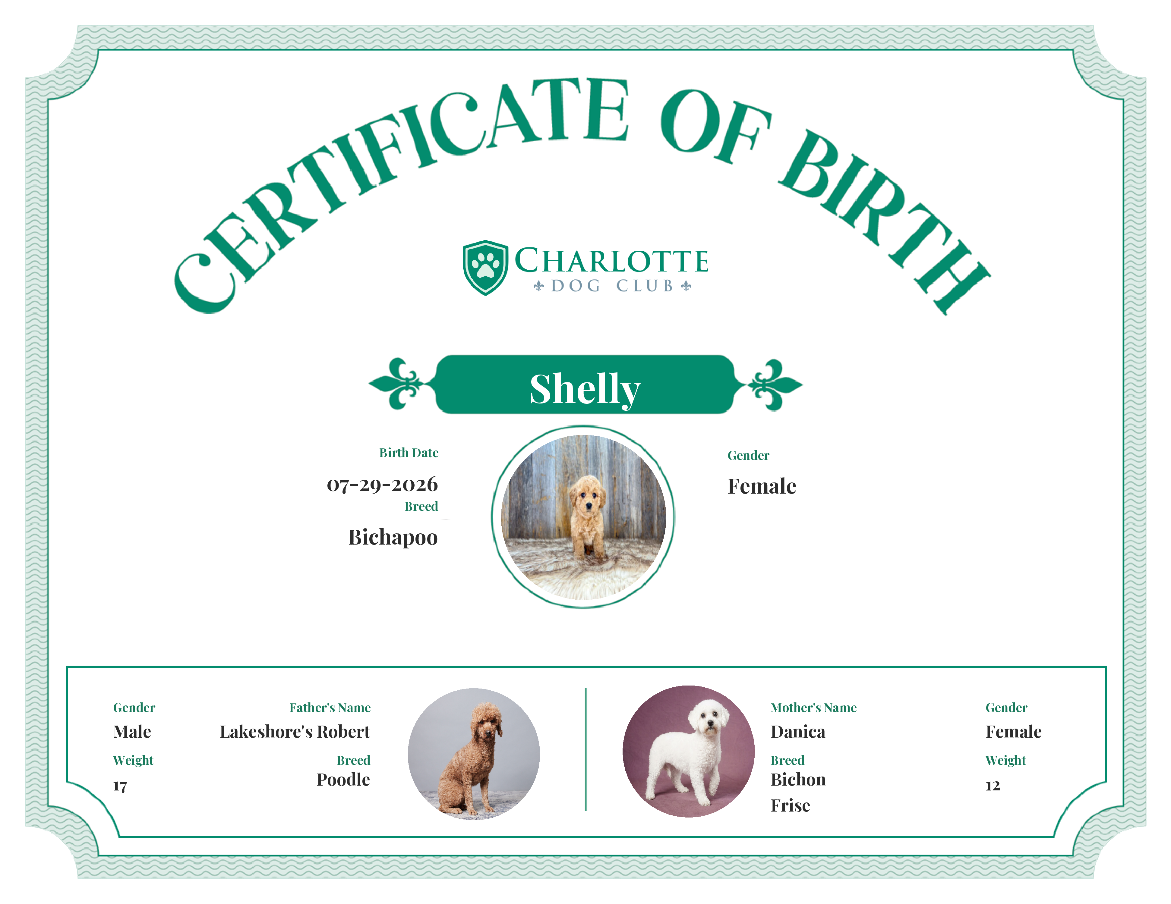 Shelly's Birth Certificate