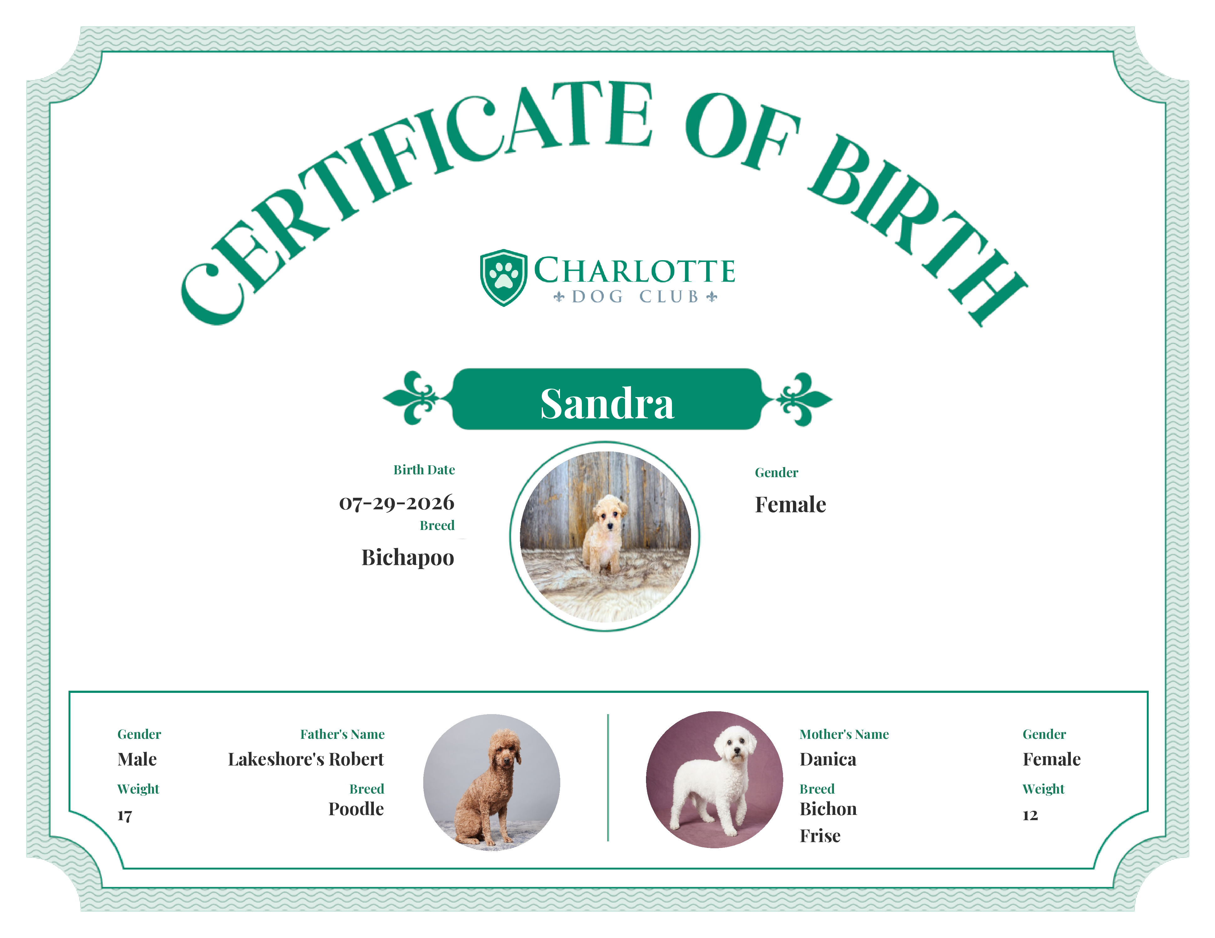 Sandra's Birth Certificate