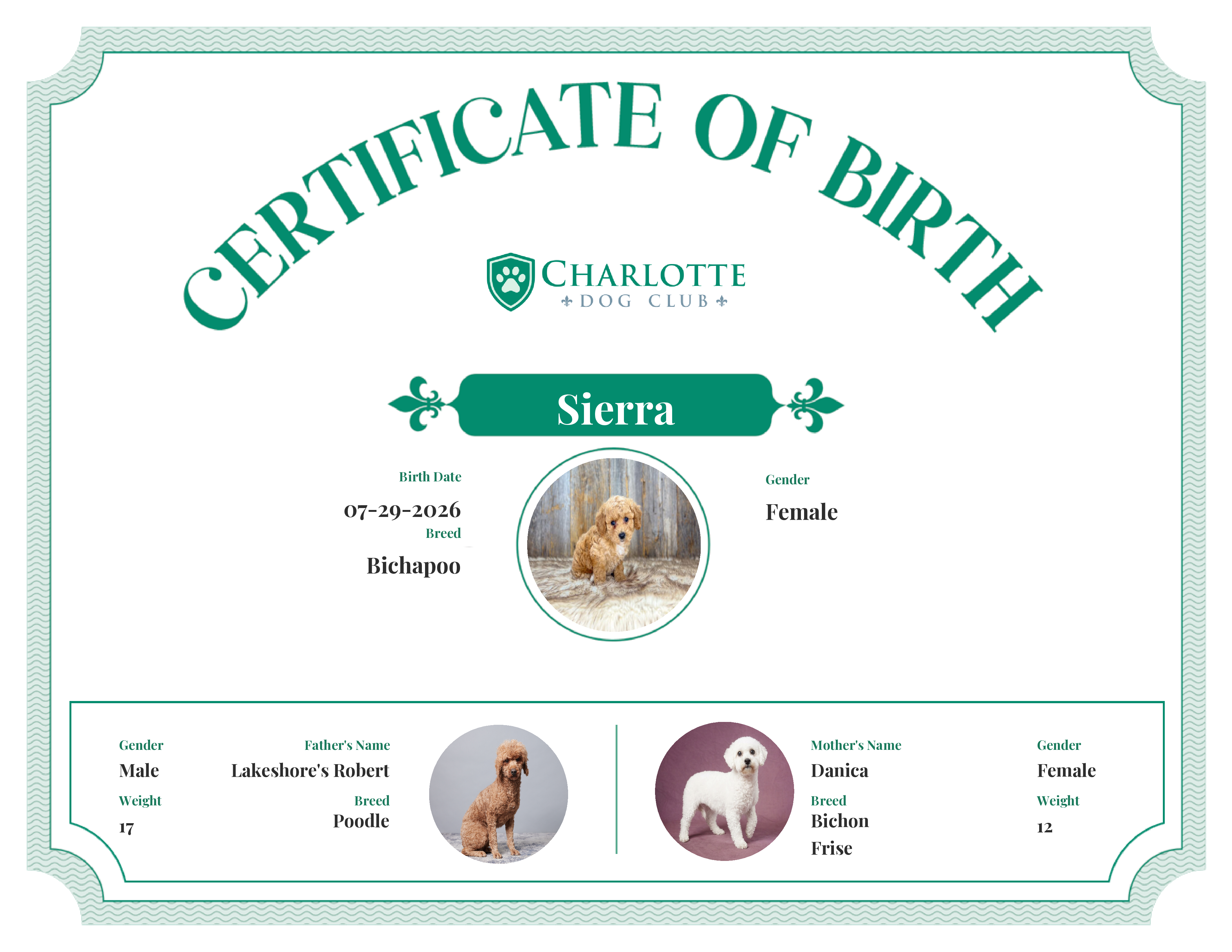 Sierra's Birth Certificate