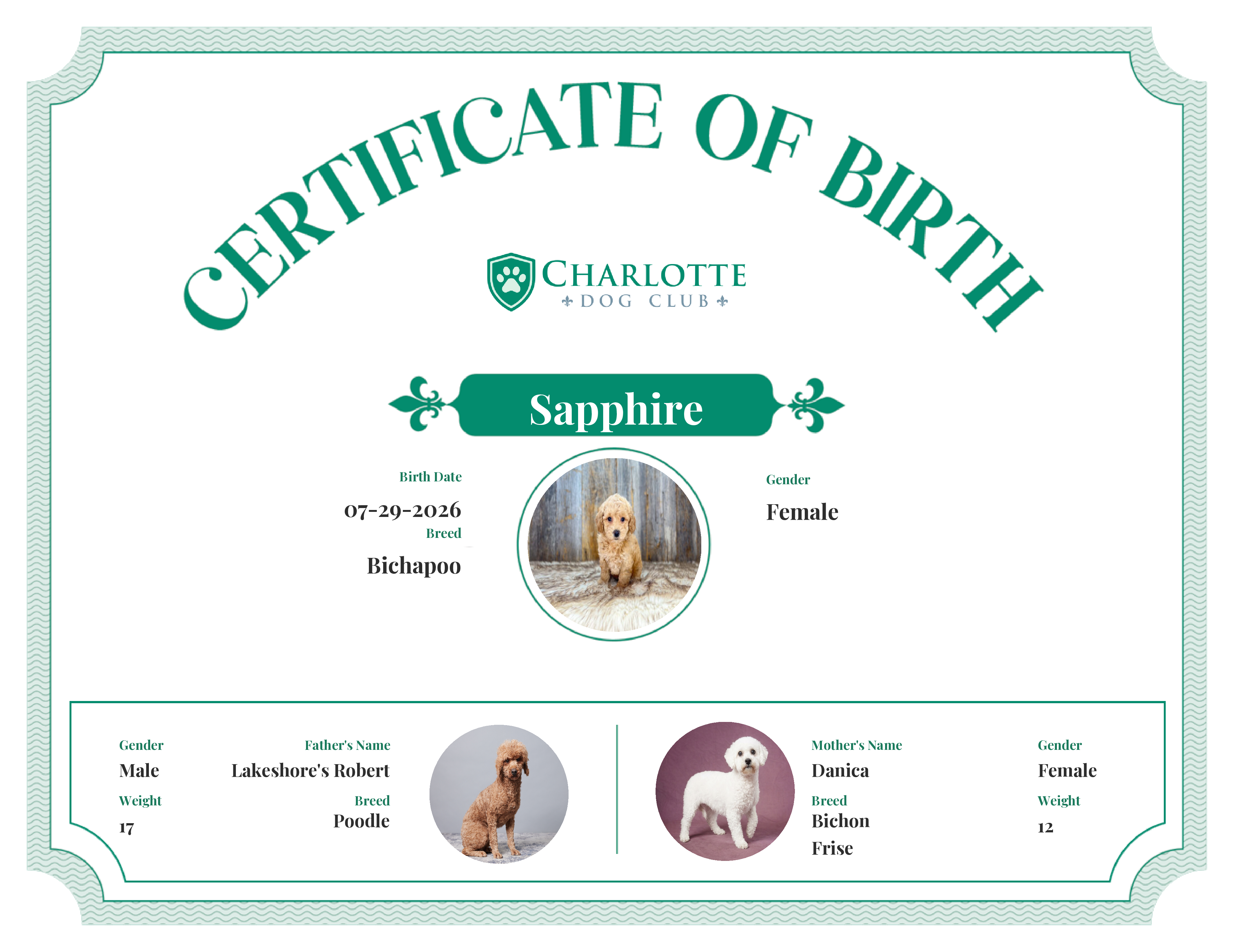 Sapphire's Birth Certificate