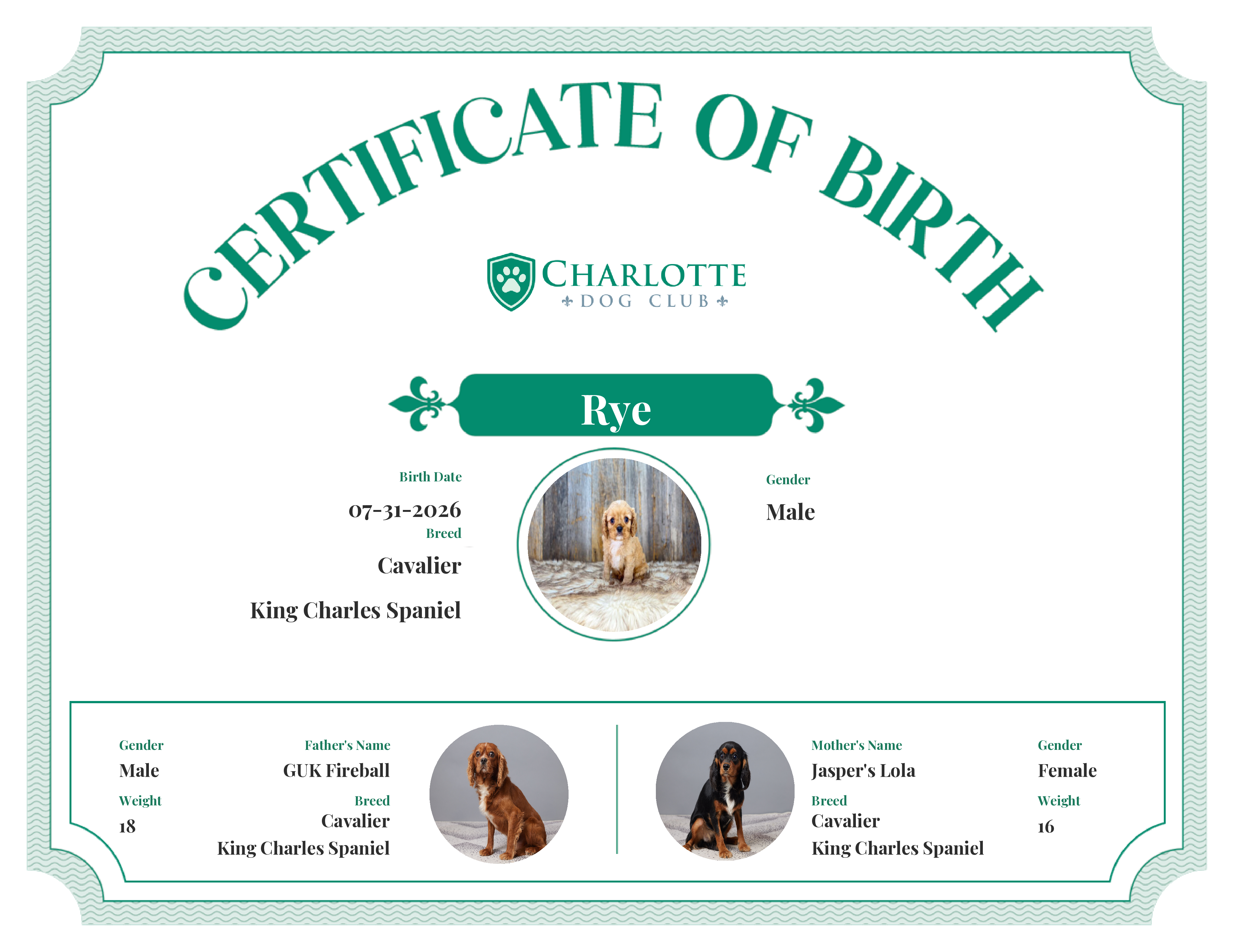 Rye's Birth Certificate