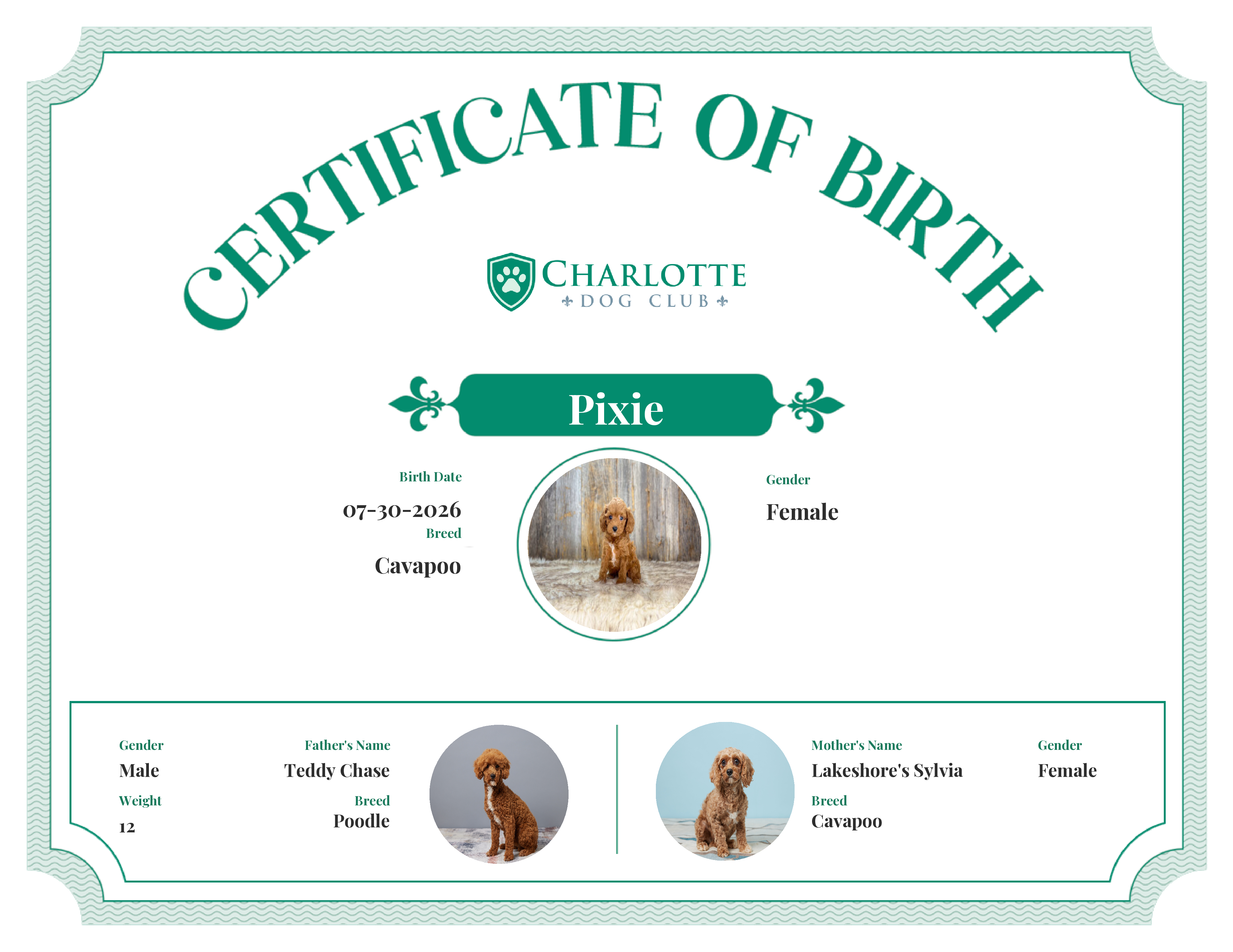 Pixie's Birth Certificate