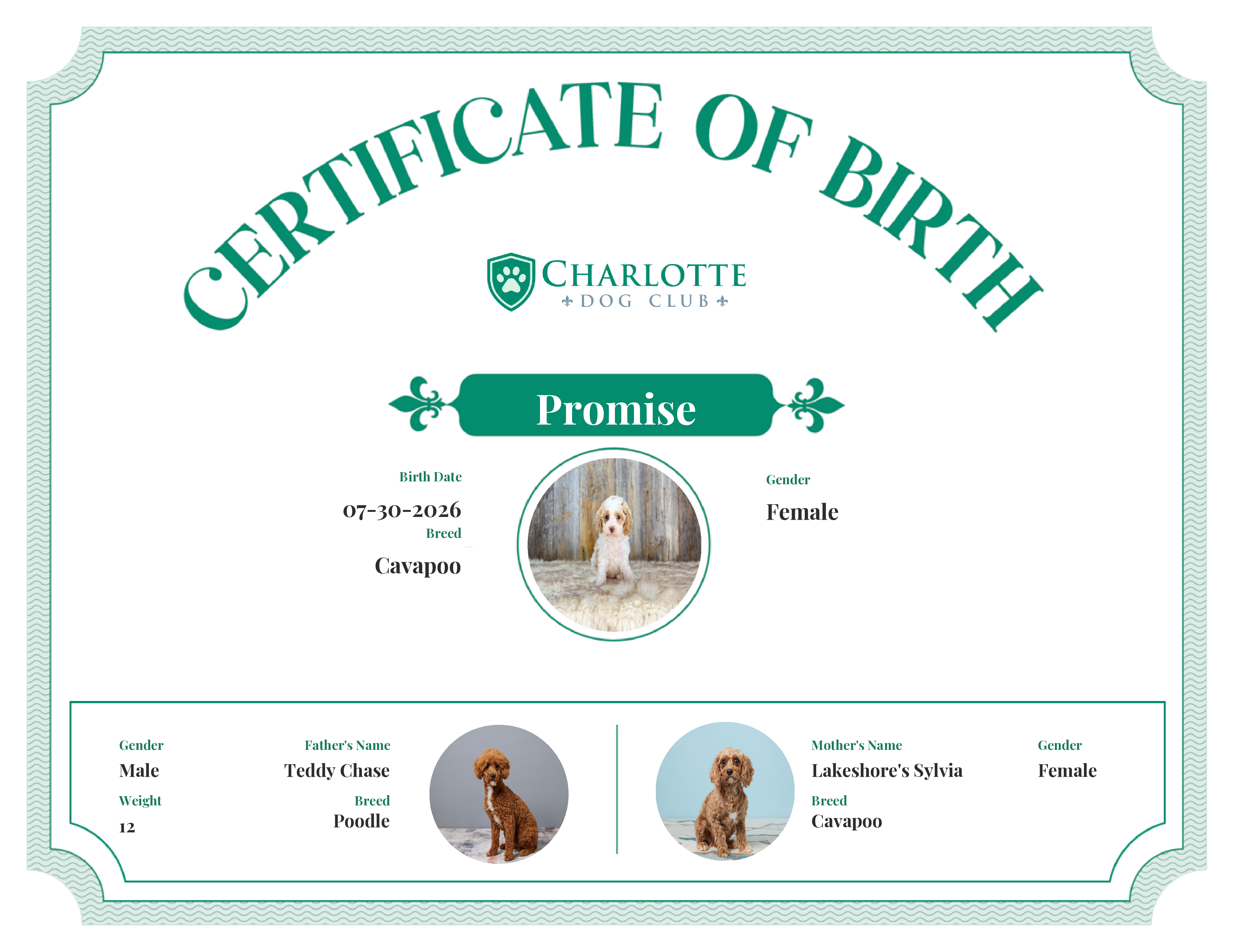 Promise's Birth Certificate