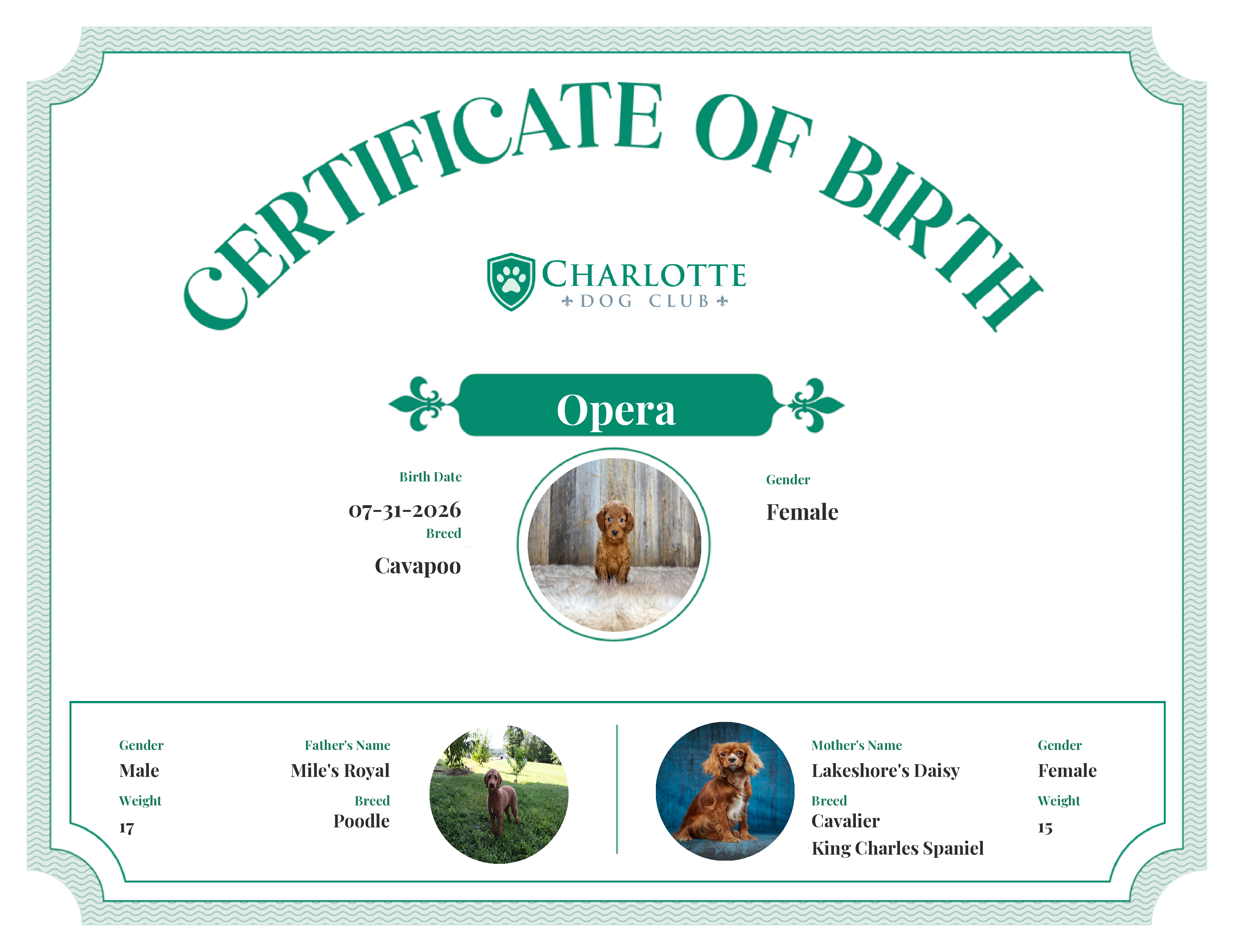 Opera's Birth Certificate
