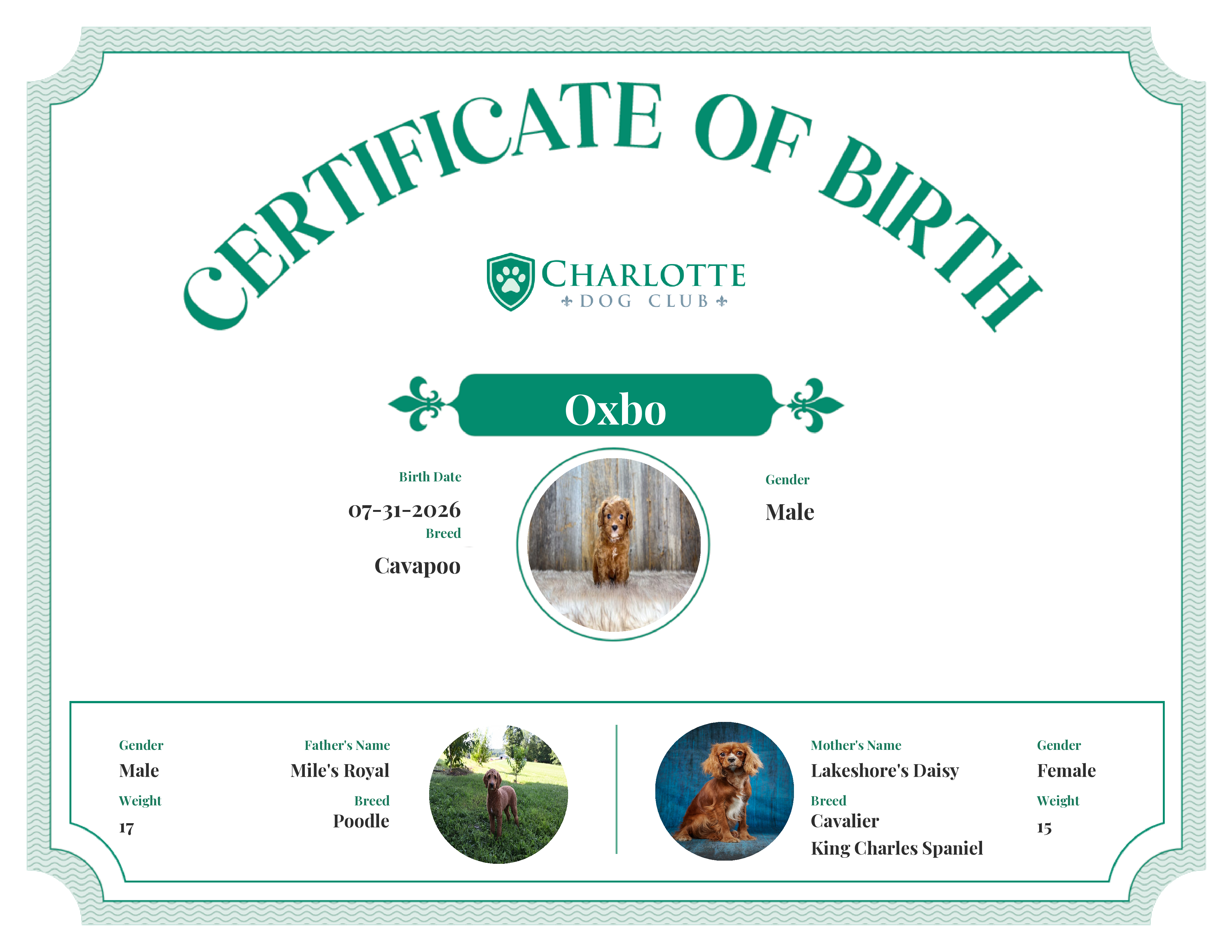 Oxbo's Birth Certificate