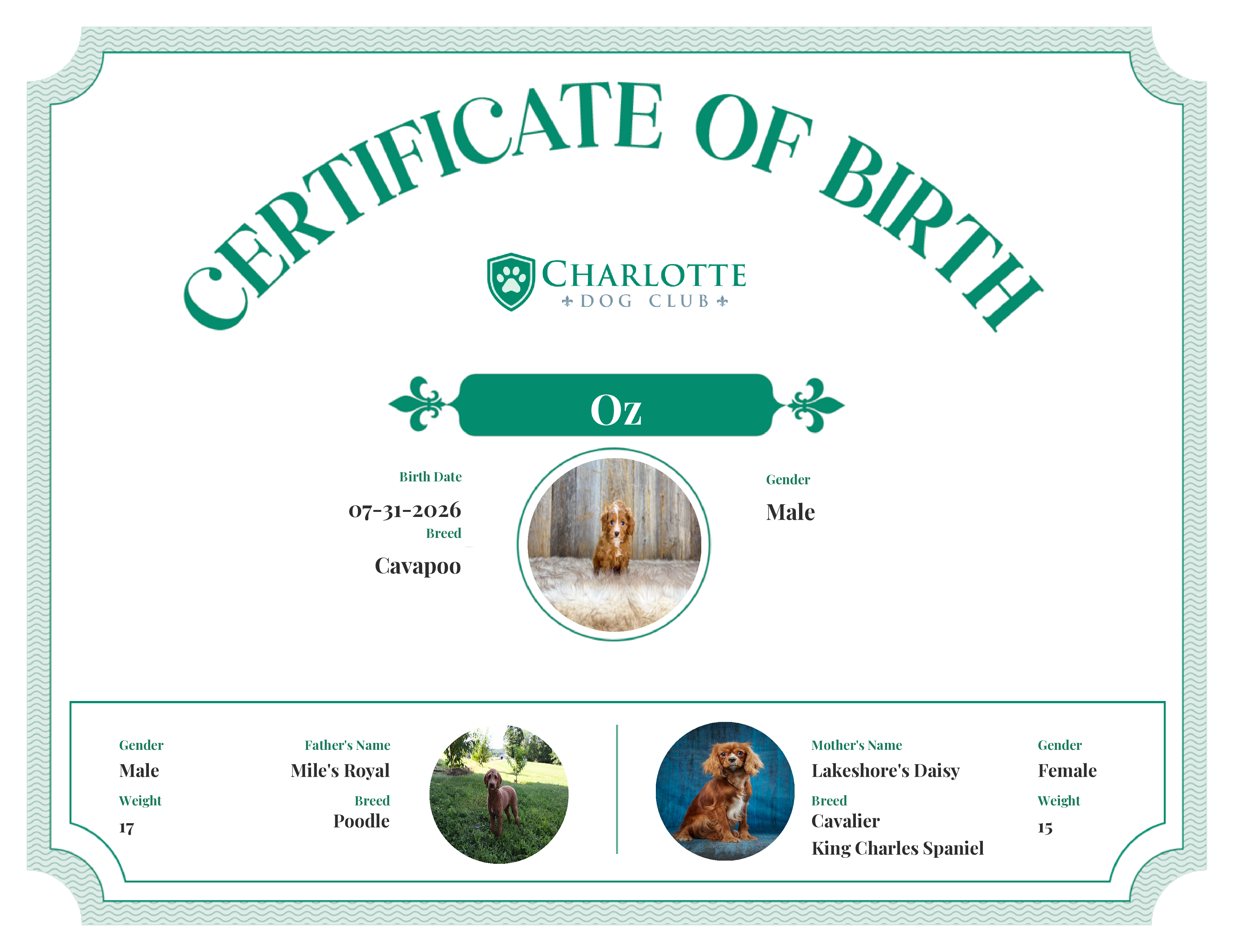 Oz's Birth Certificate
