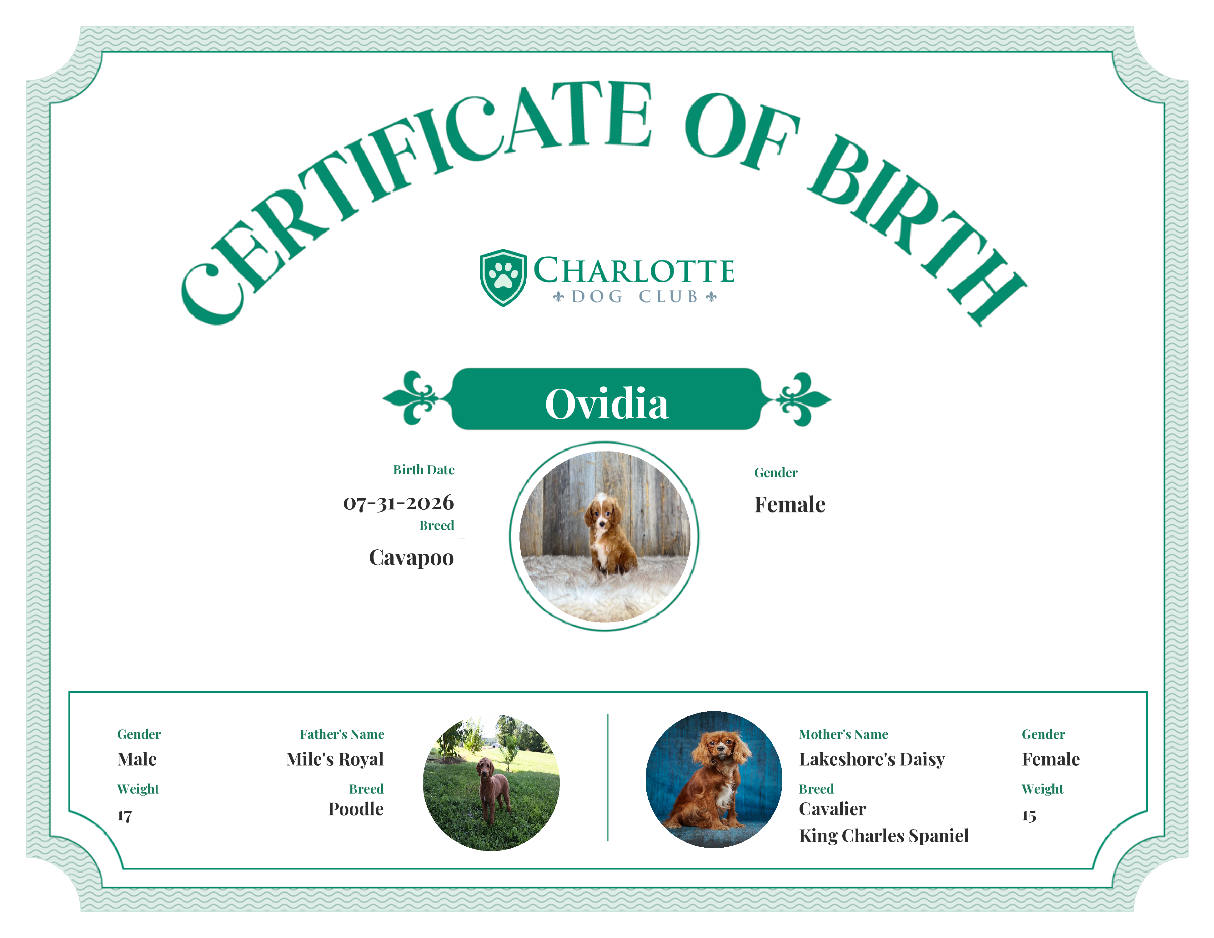 Ovidia's Birth Certificate