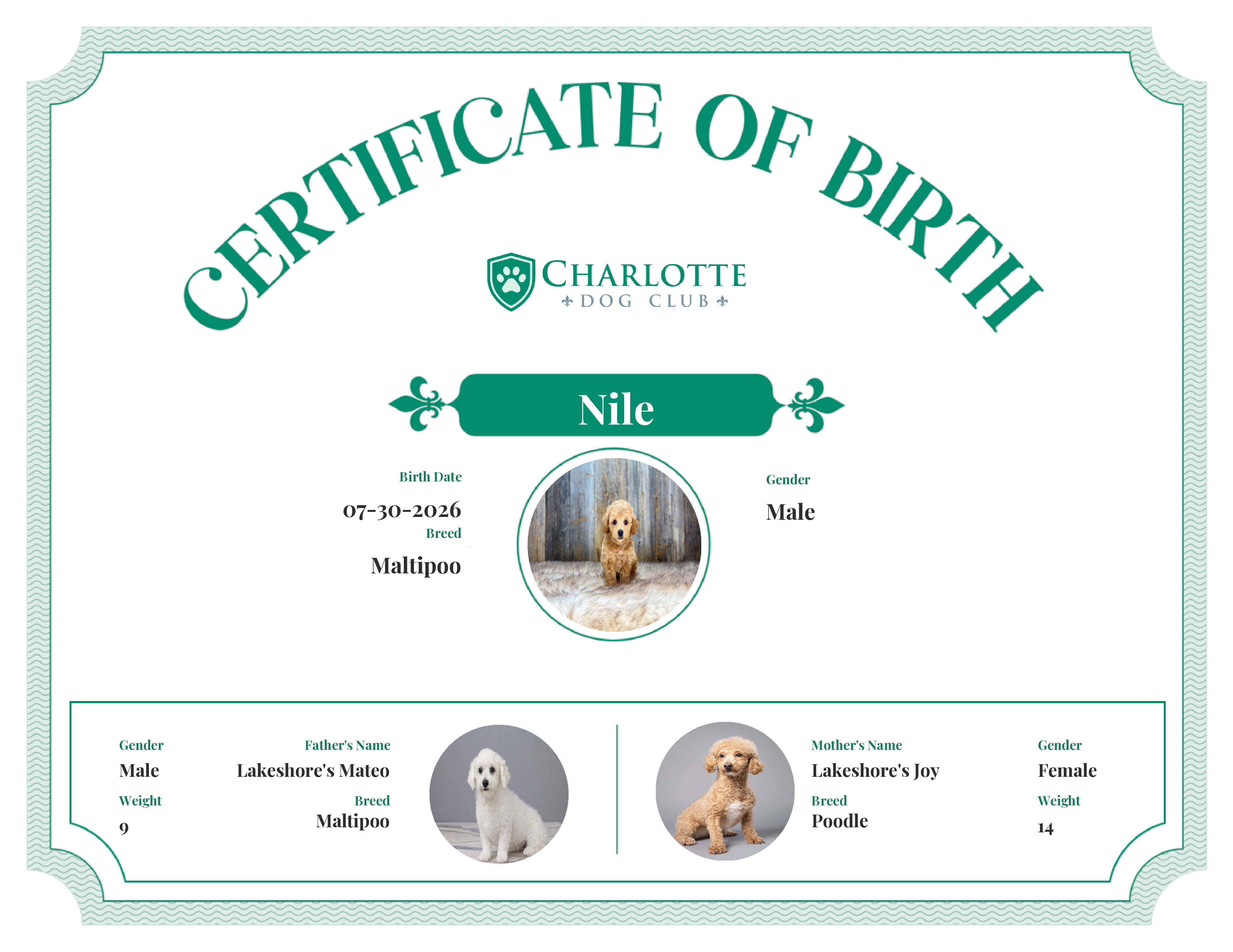 Nile's Birth Certificate