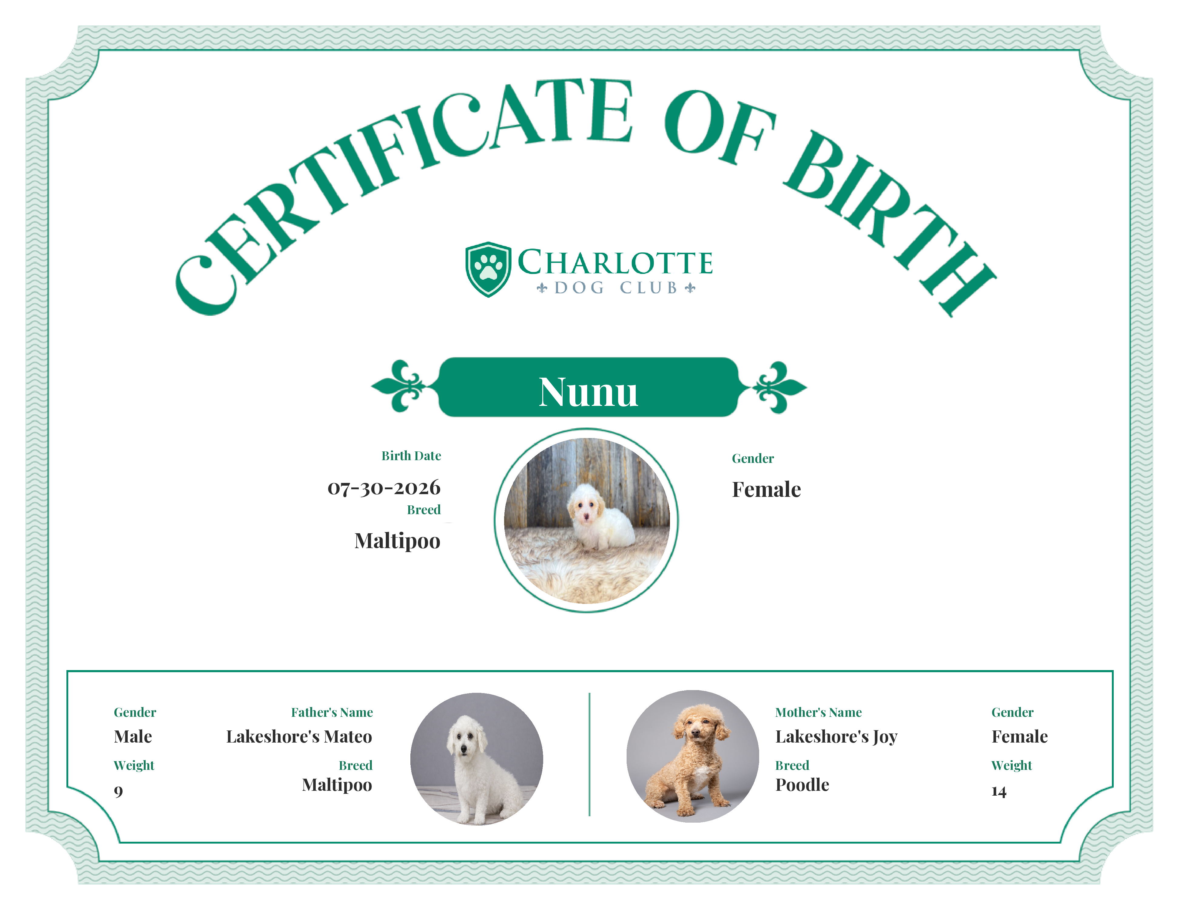 Nunu's Birth Certificate