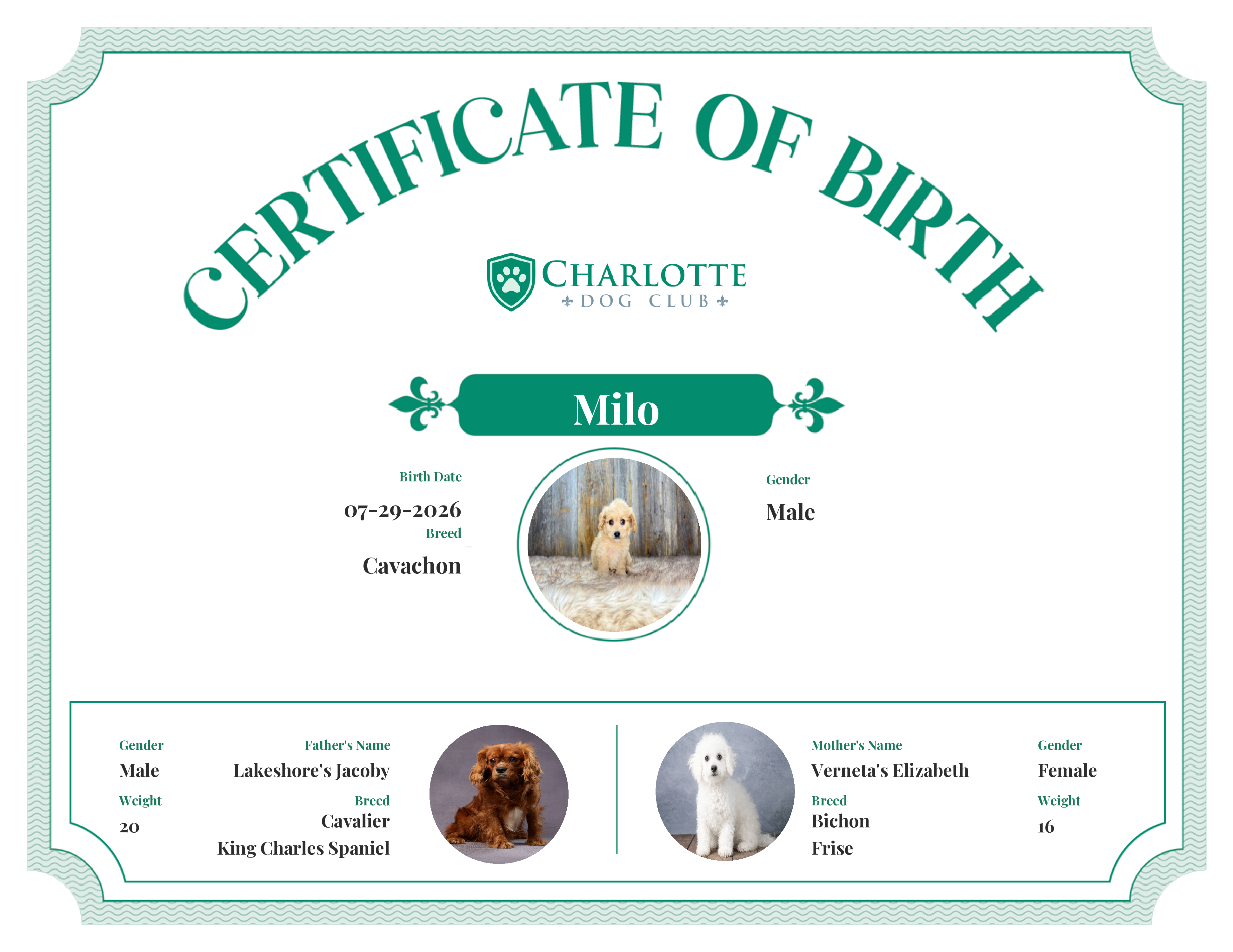 Milo's Birth Certificate