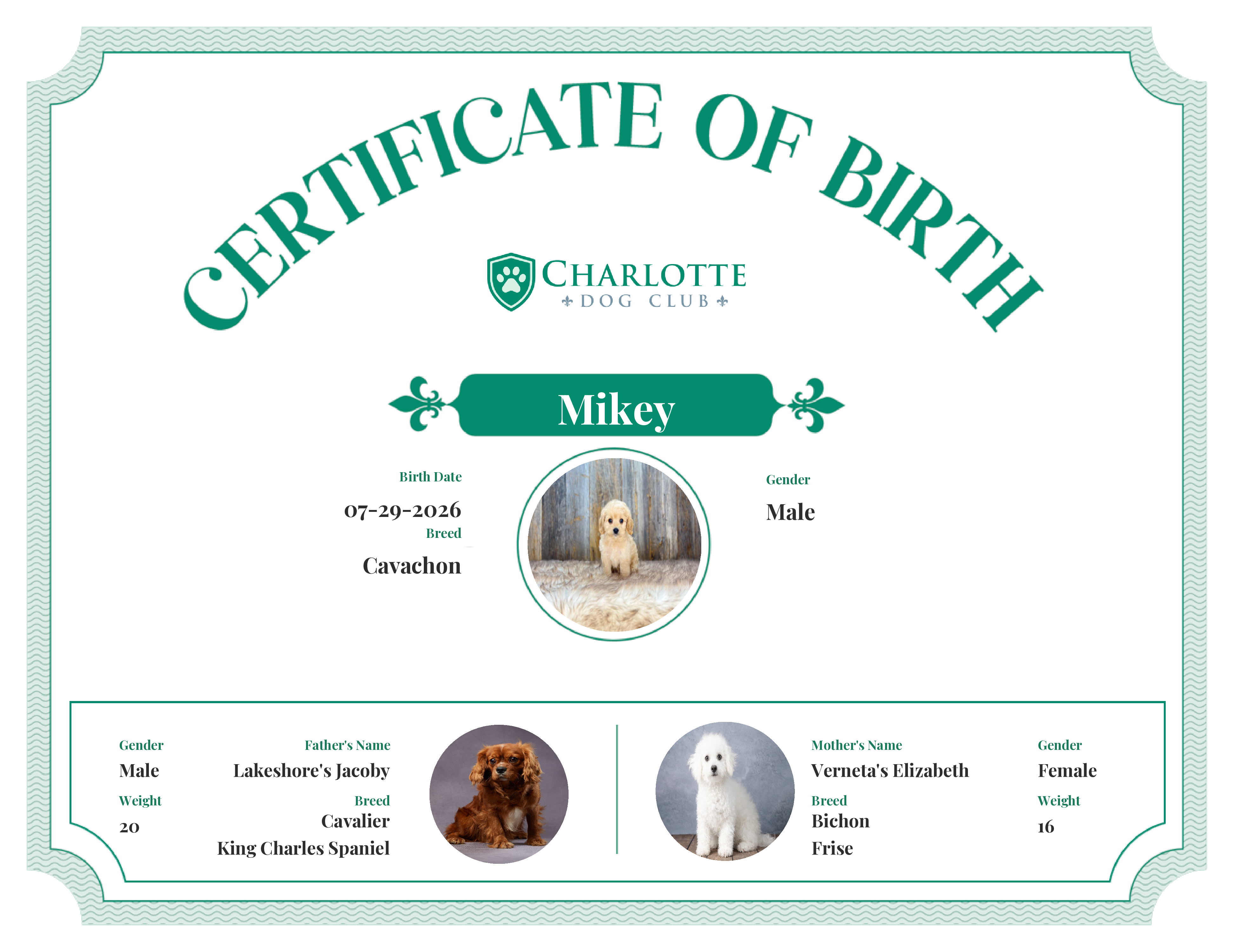 Mikey's Birth Certificate