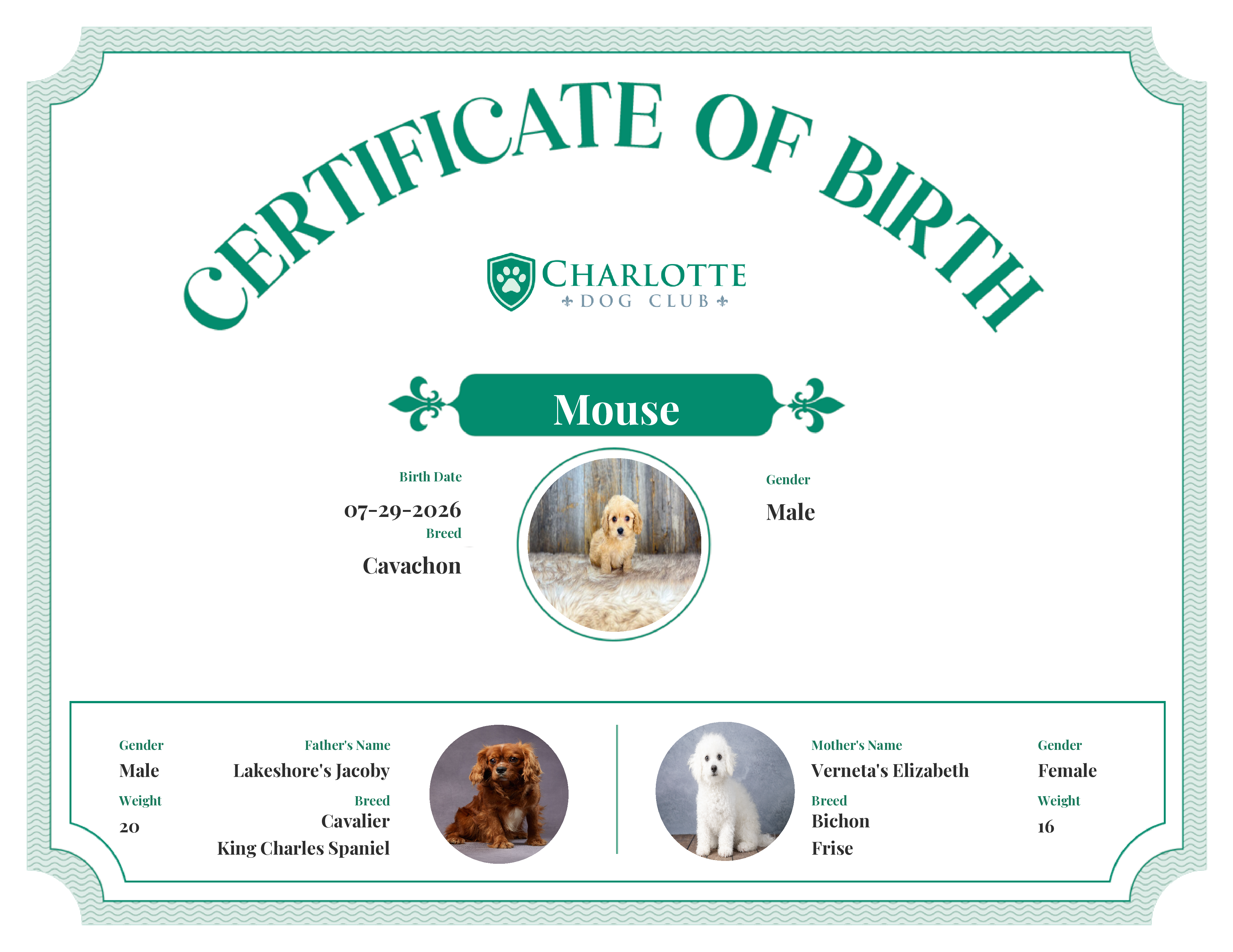 Mouse's Birth Certificate