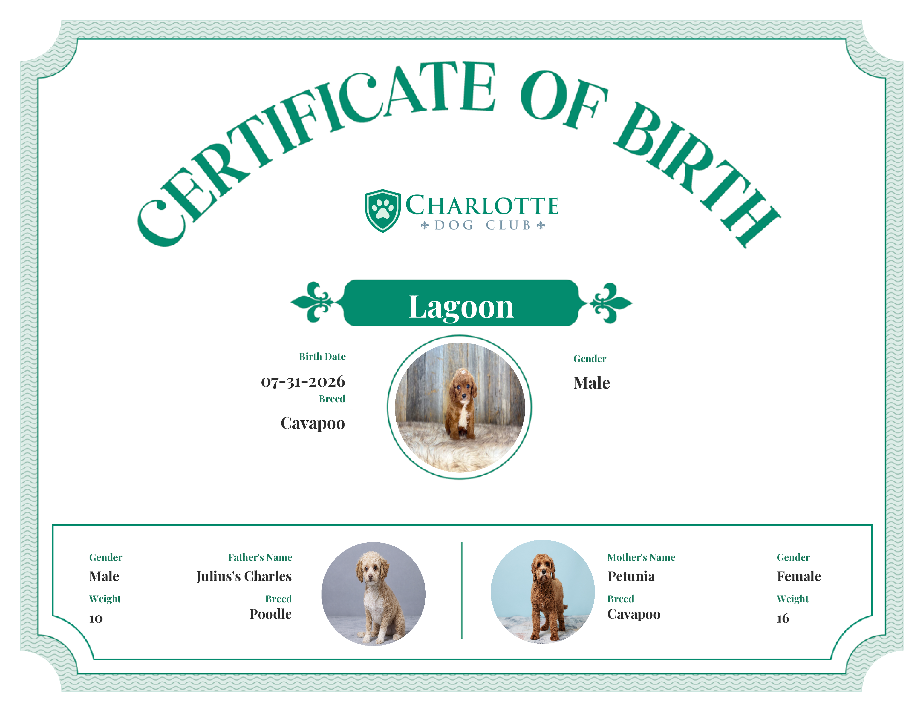Lagoon's Birth Certificate