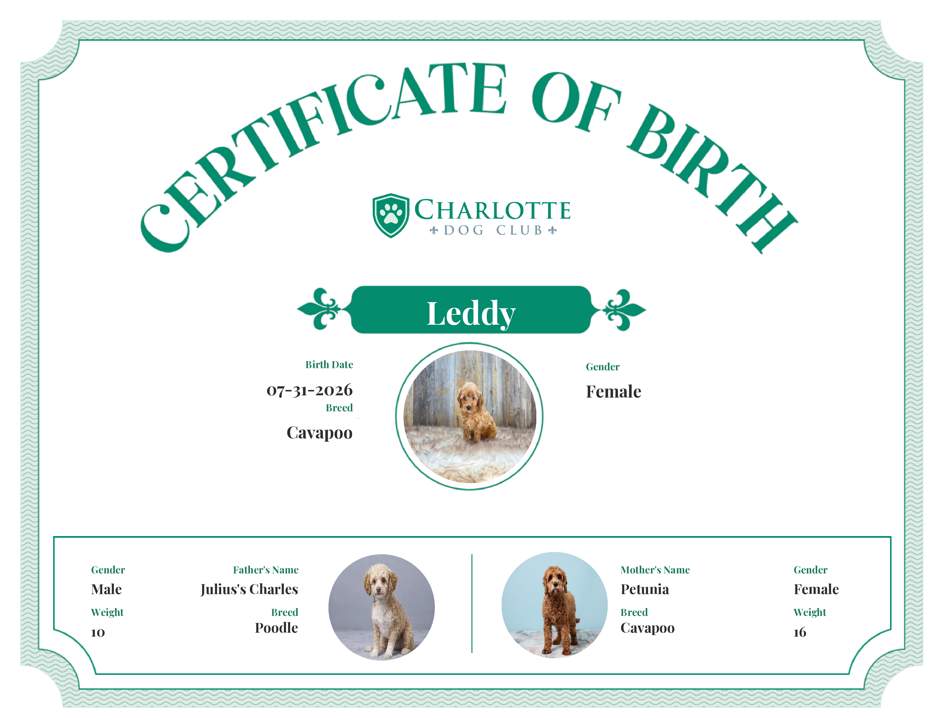 Leddy's Birth Certificate