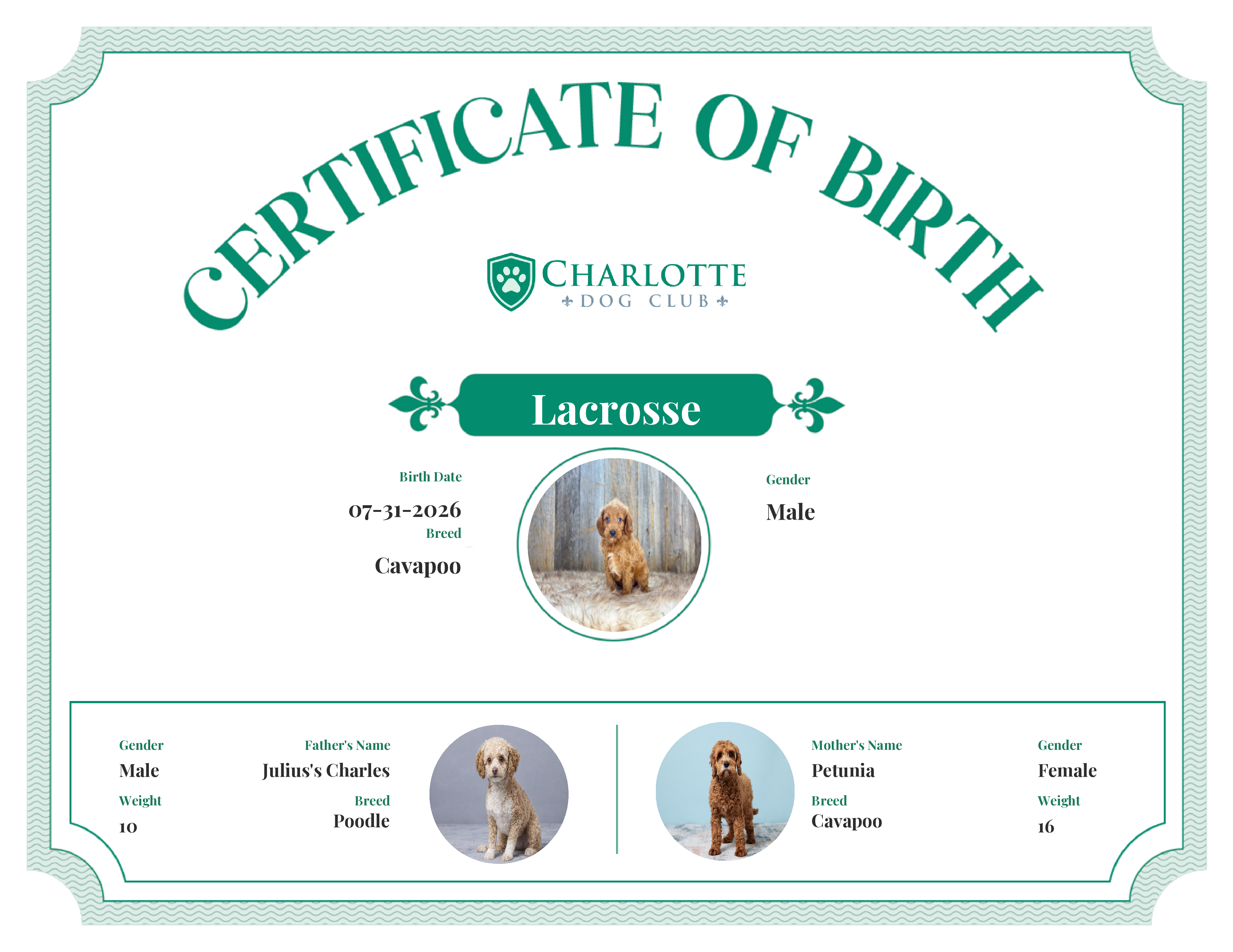 Lacrosse's Birth Certificate