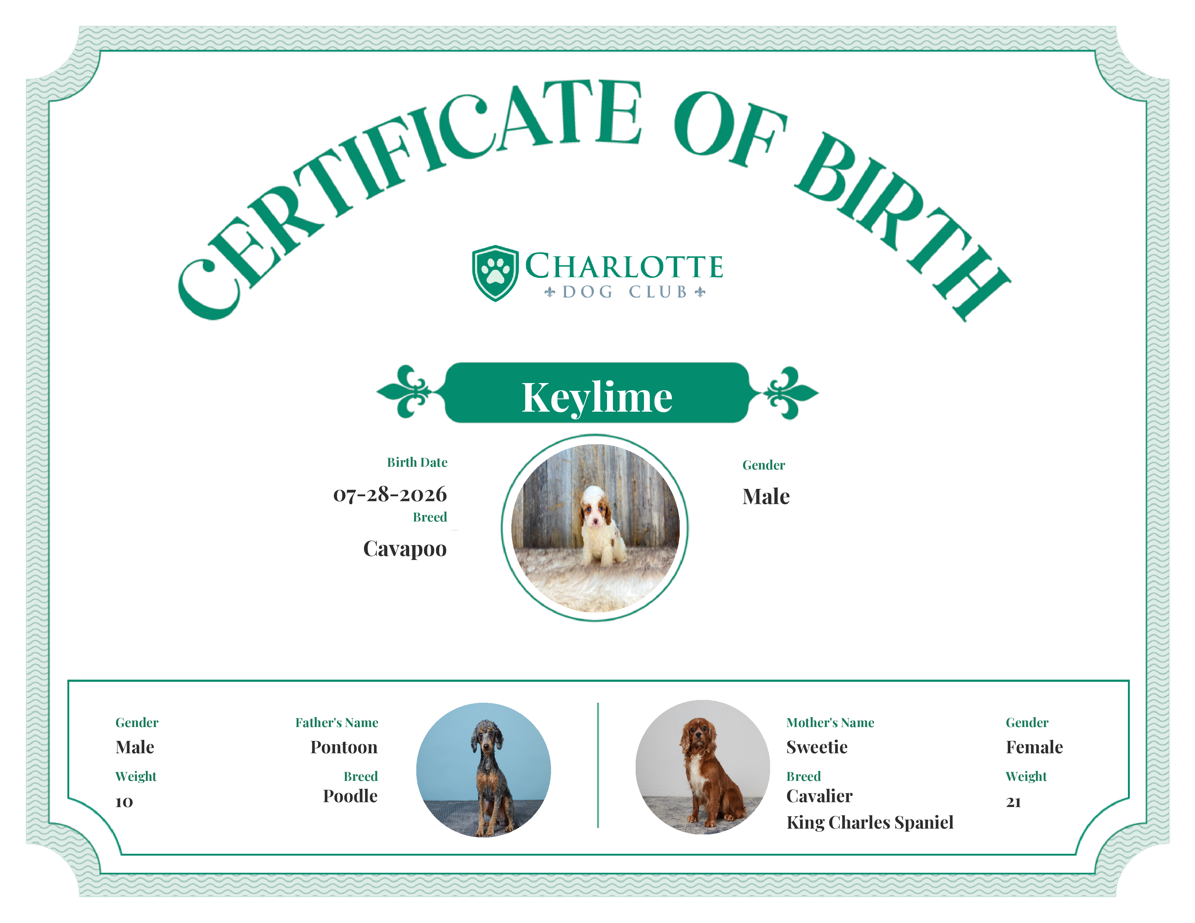 Keylime's Birth Certificate