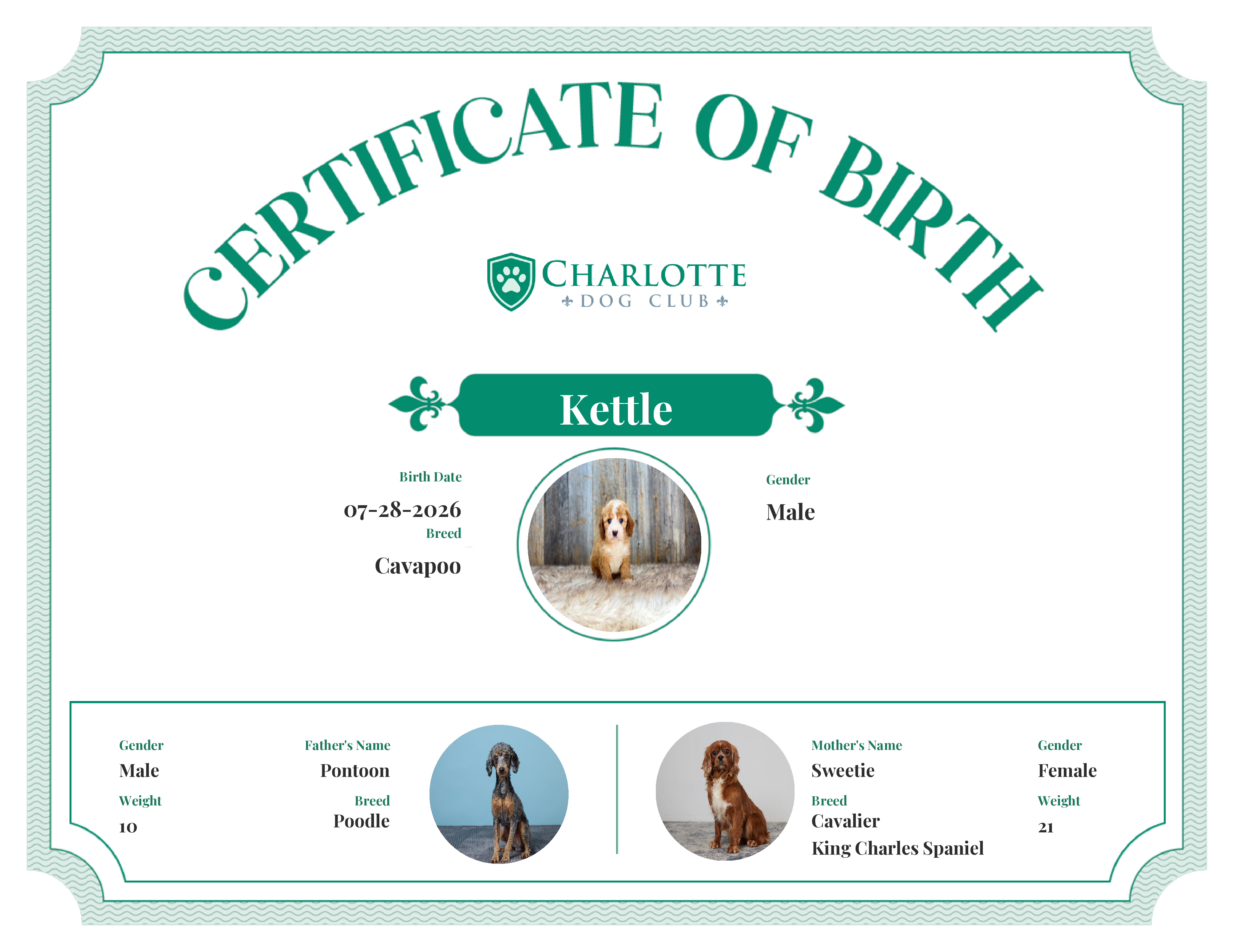 Kettle's Birth Certificate