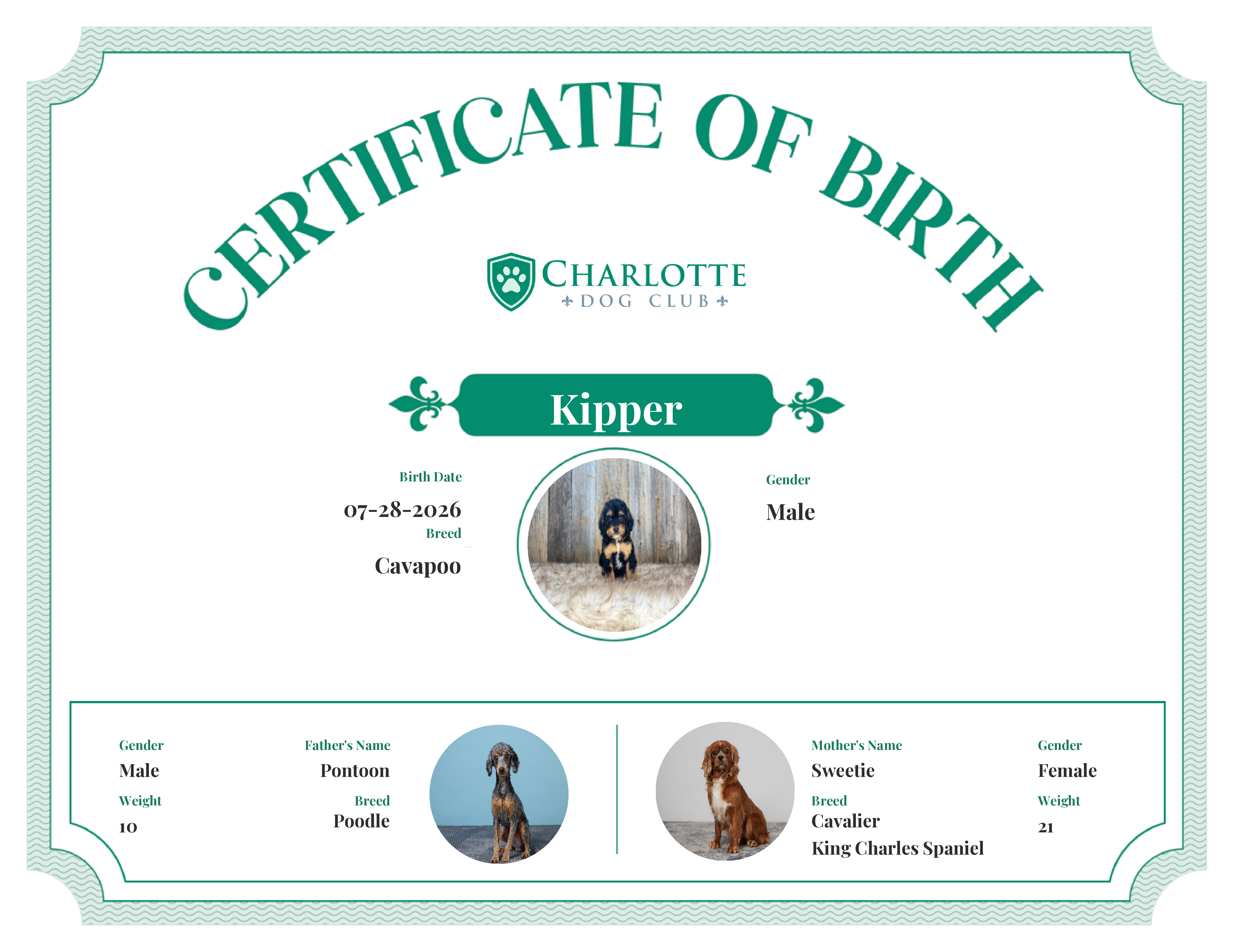 Kipper's Birth Certificate
