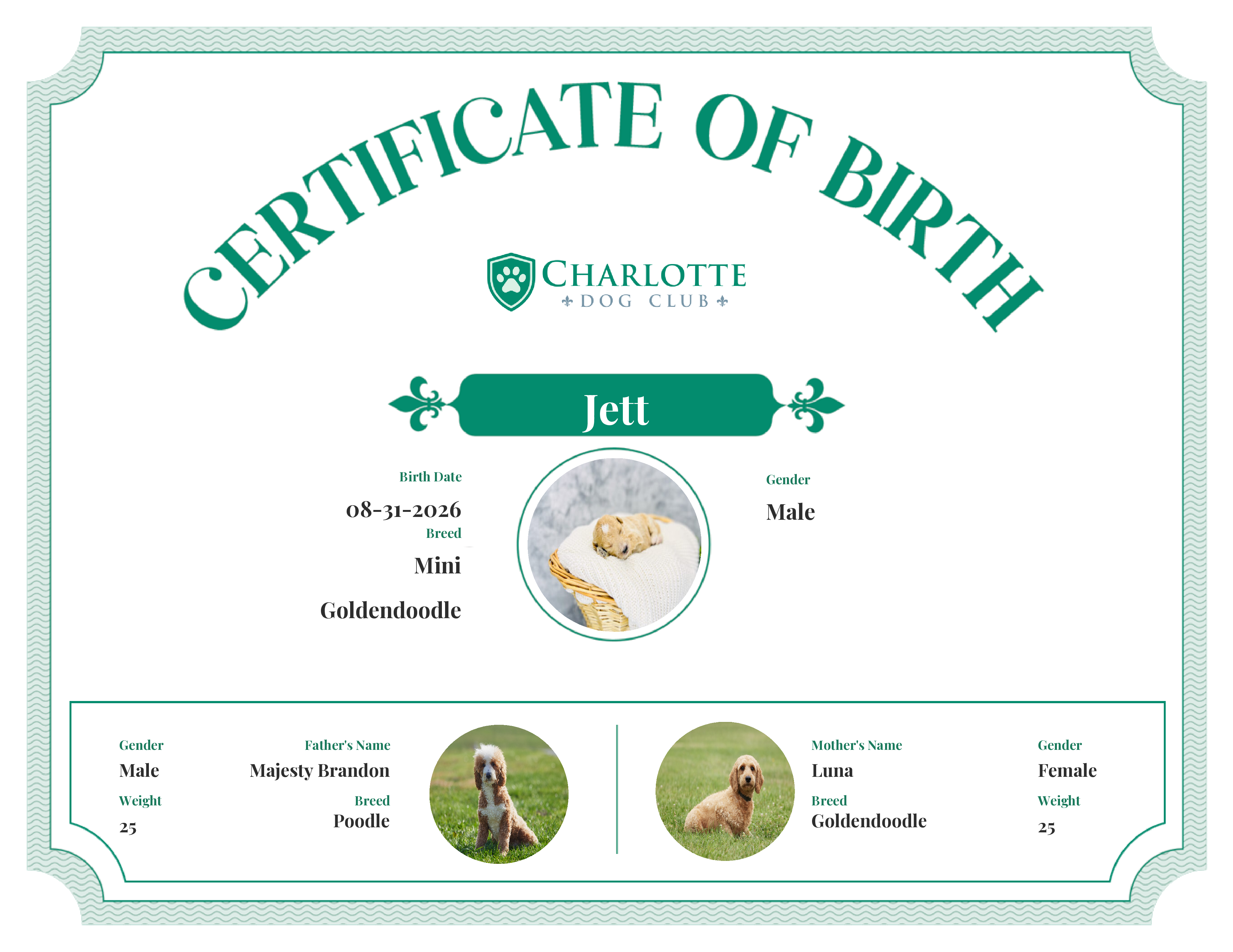 Jett's Birth Certificate