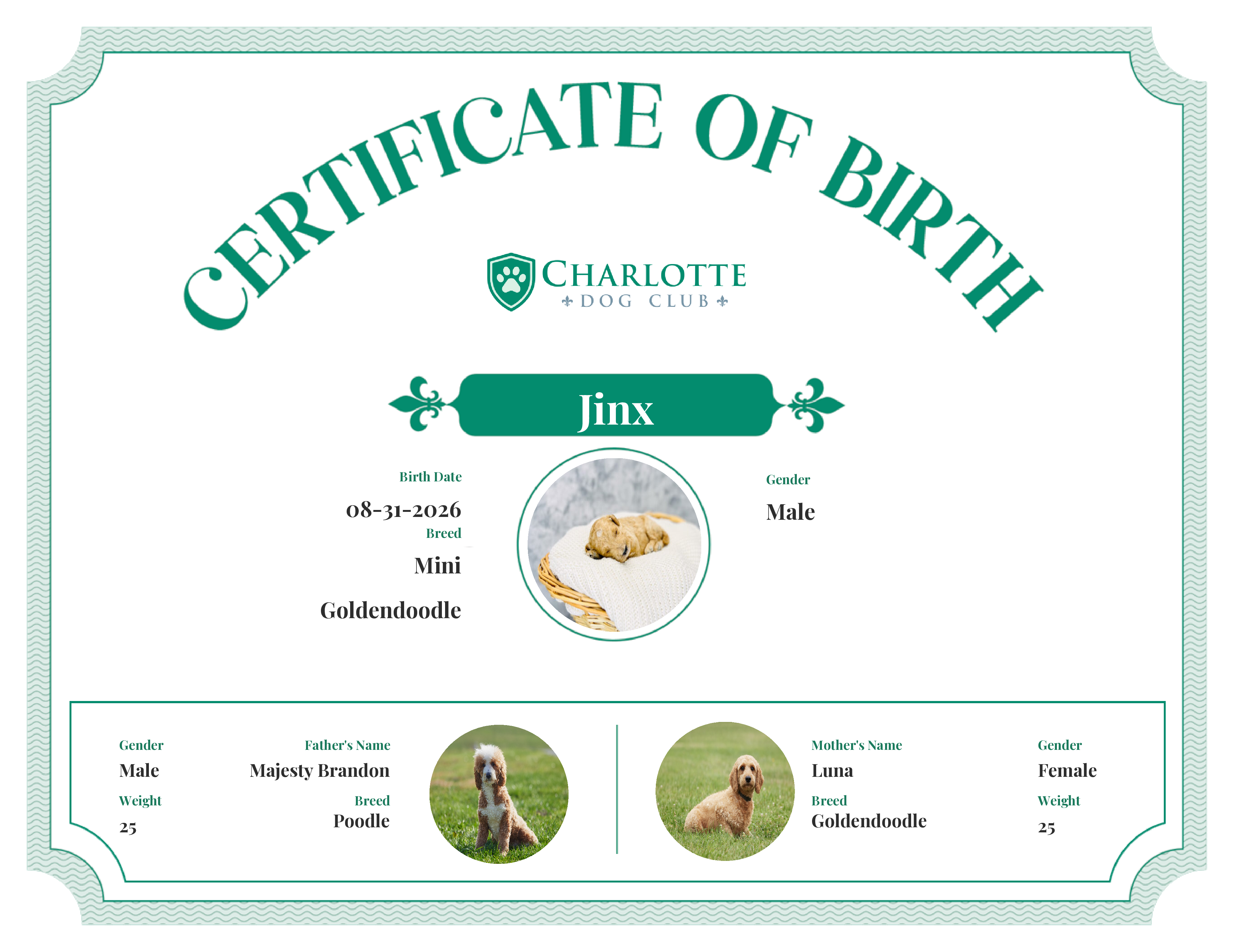 Jinx's Birth Certificate