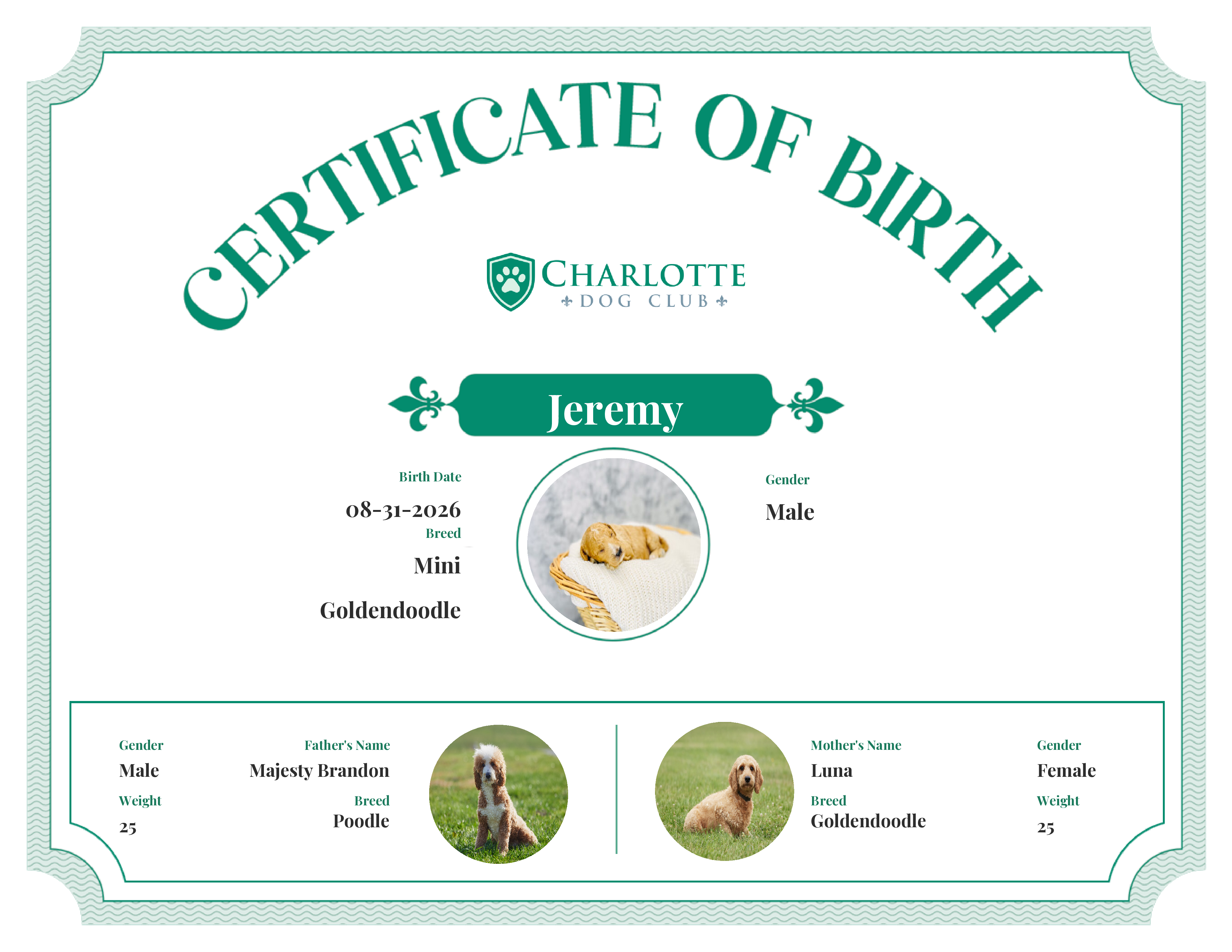Jeremy's Birth Certificate