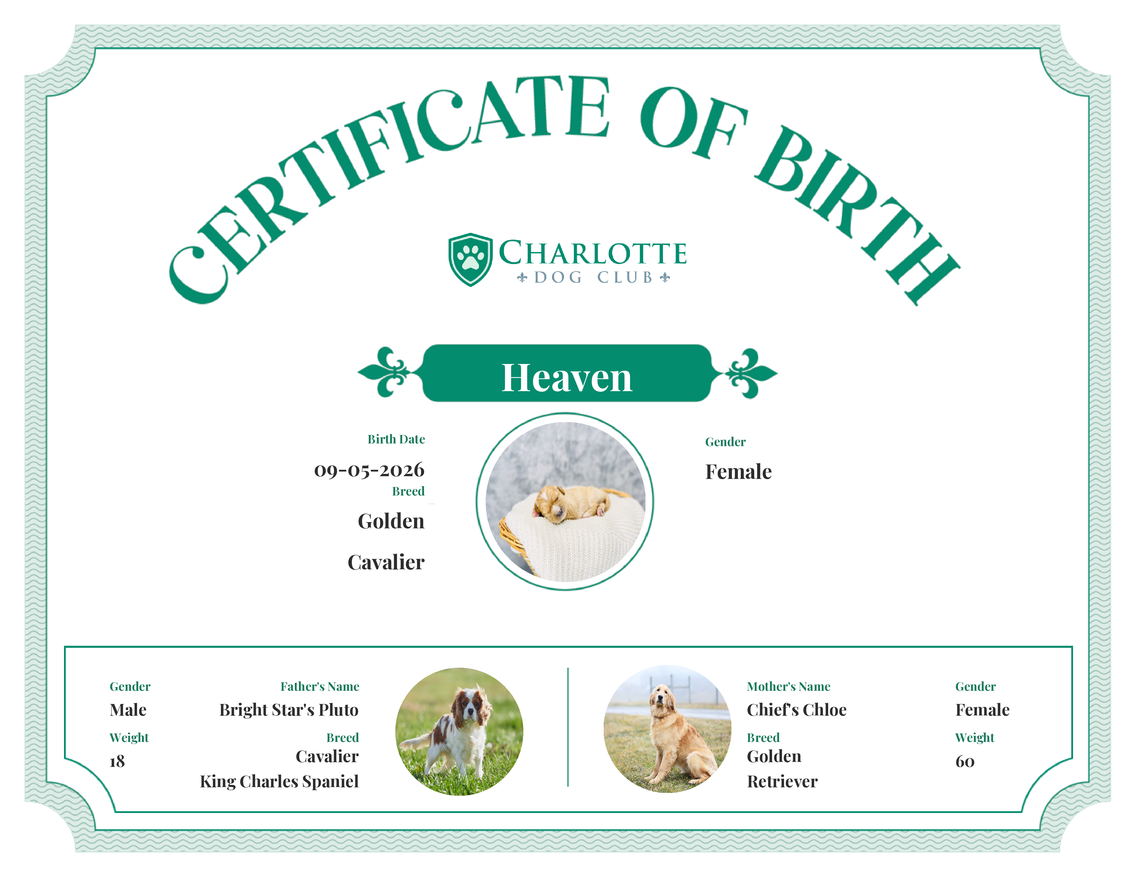 Heaven's Birth Certificate