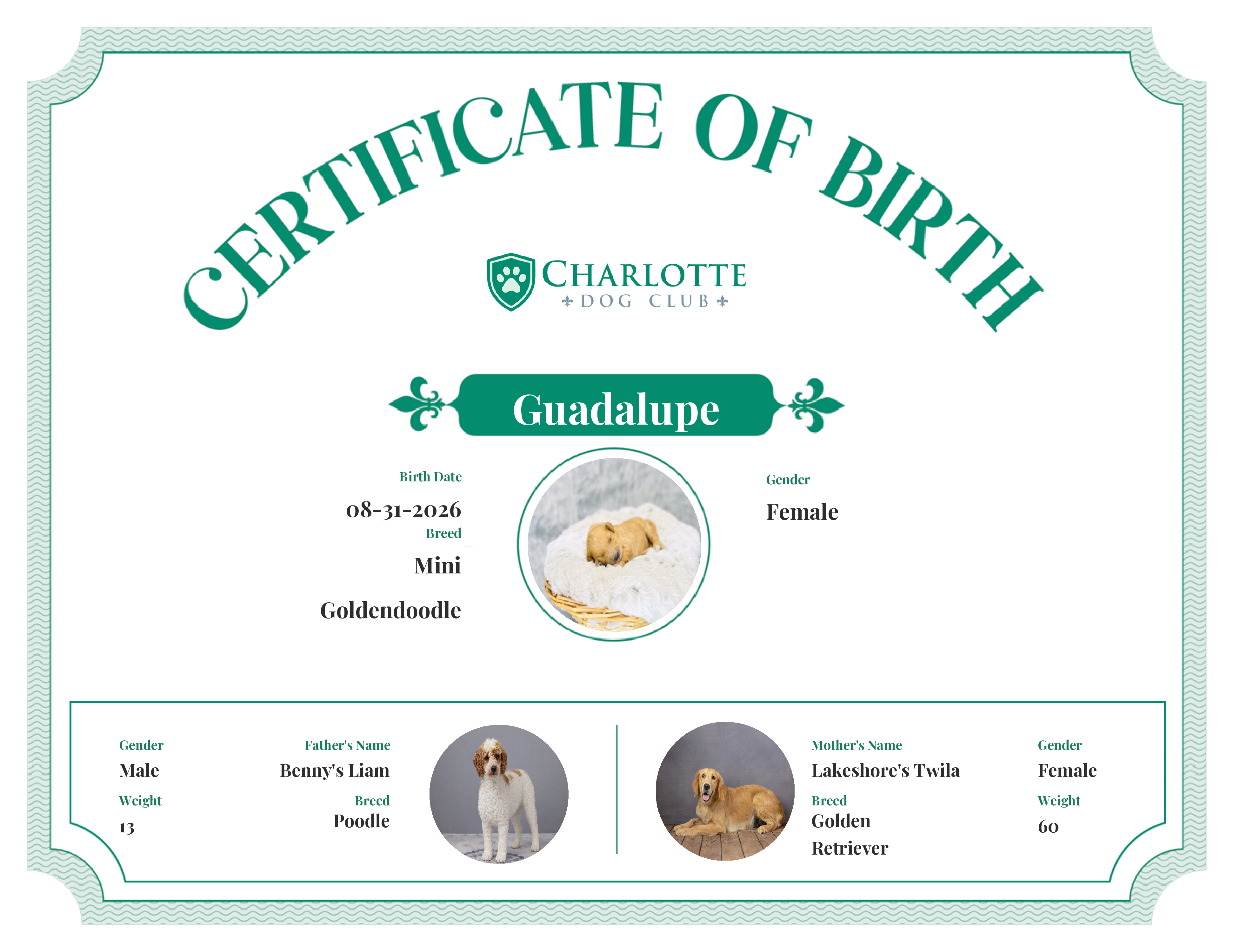 Guadalupe's Birth Certificate