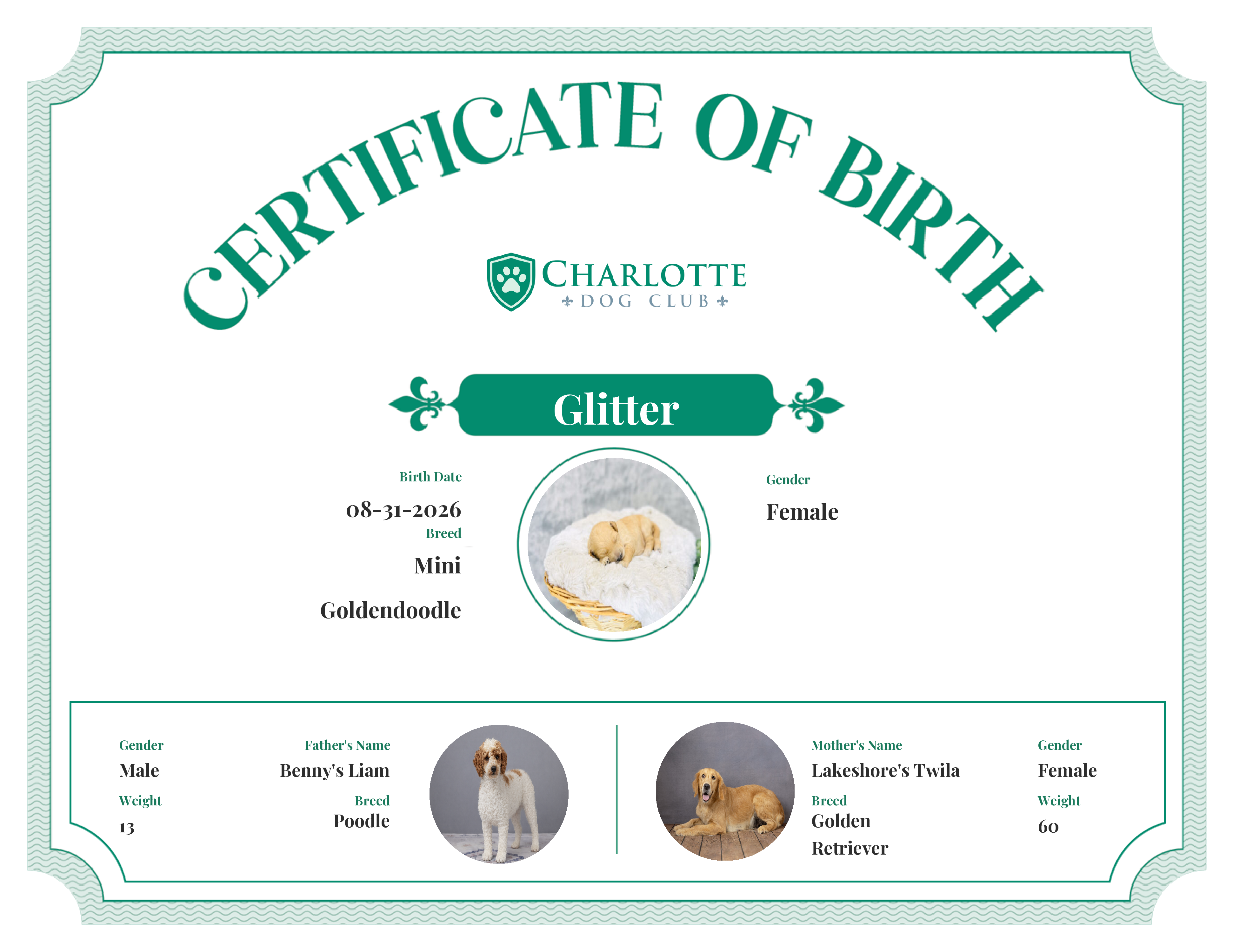 Glitter's Birth Certificate