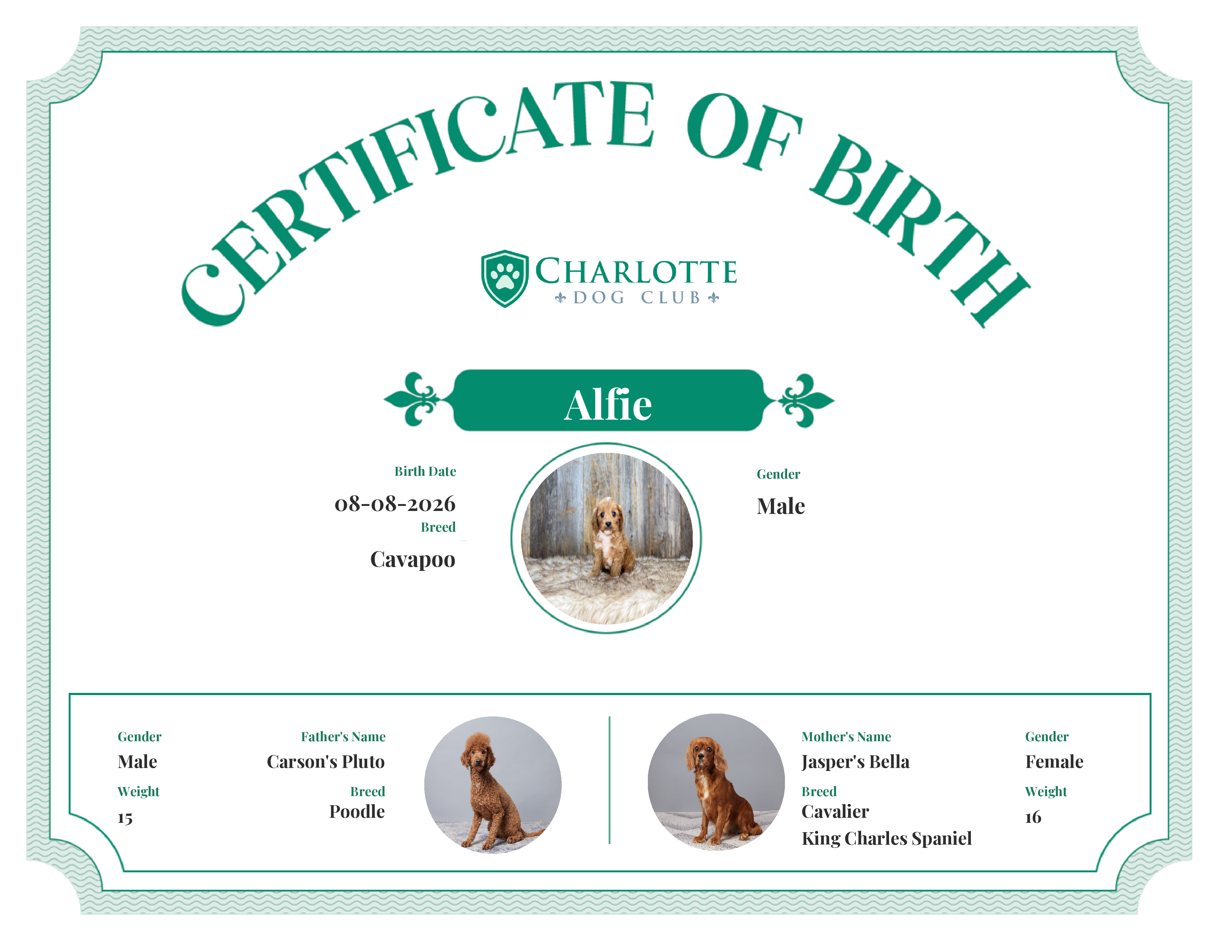 Alfie's Birth Certificate
