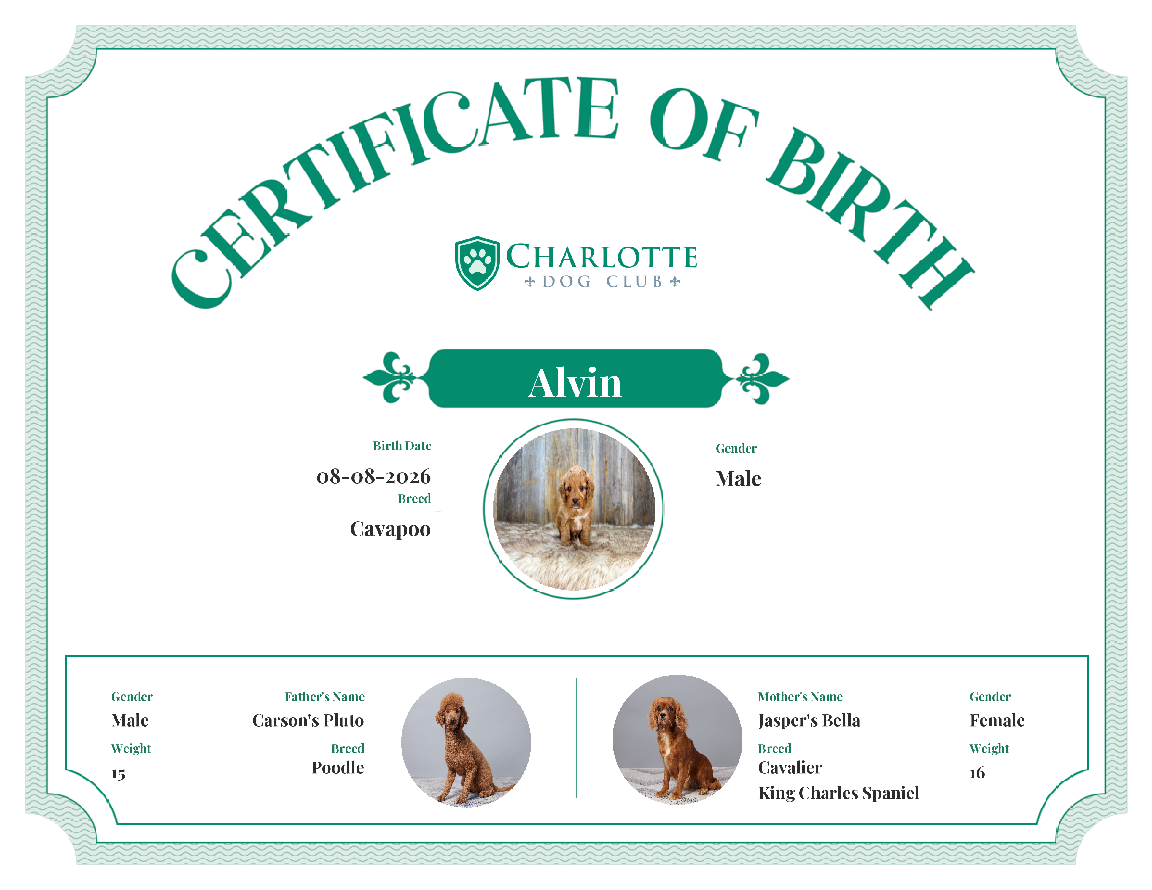 Alvin's Birth Certificate