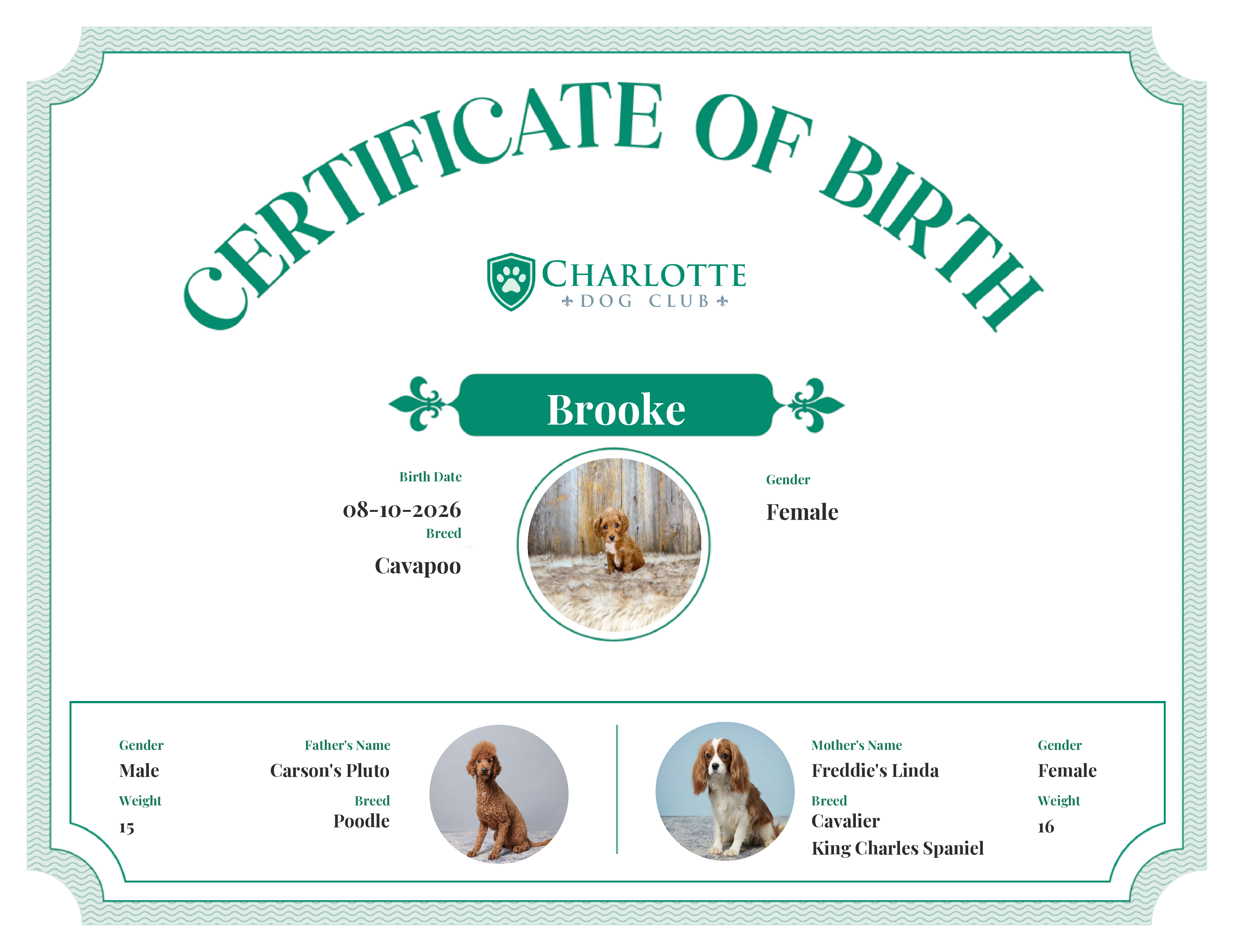 Brooke's Birth Certificate