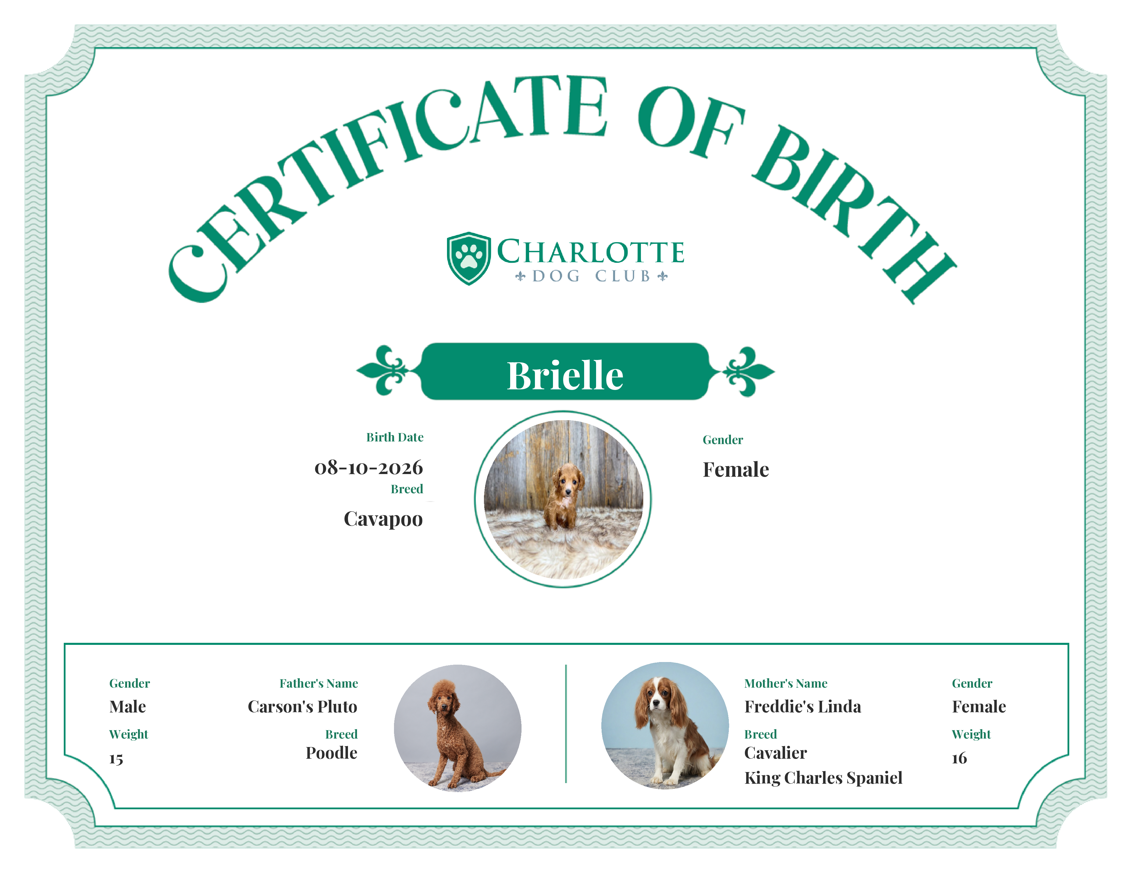 Brielle's Birth Certificate