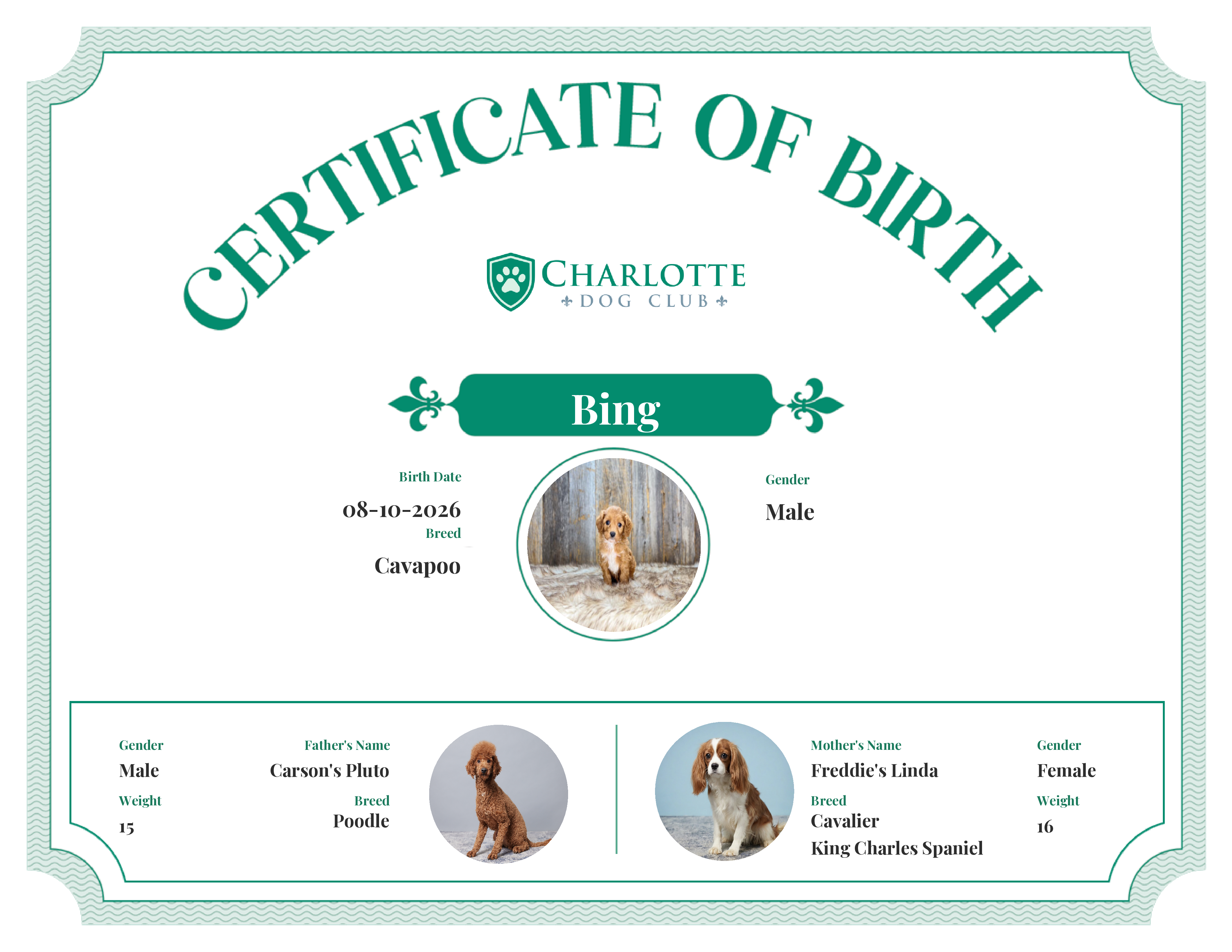 Bing's Birth Certificate