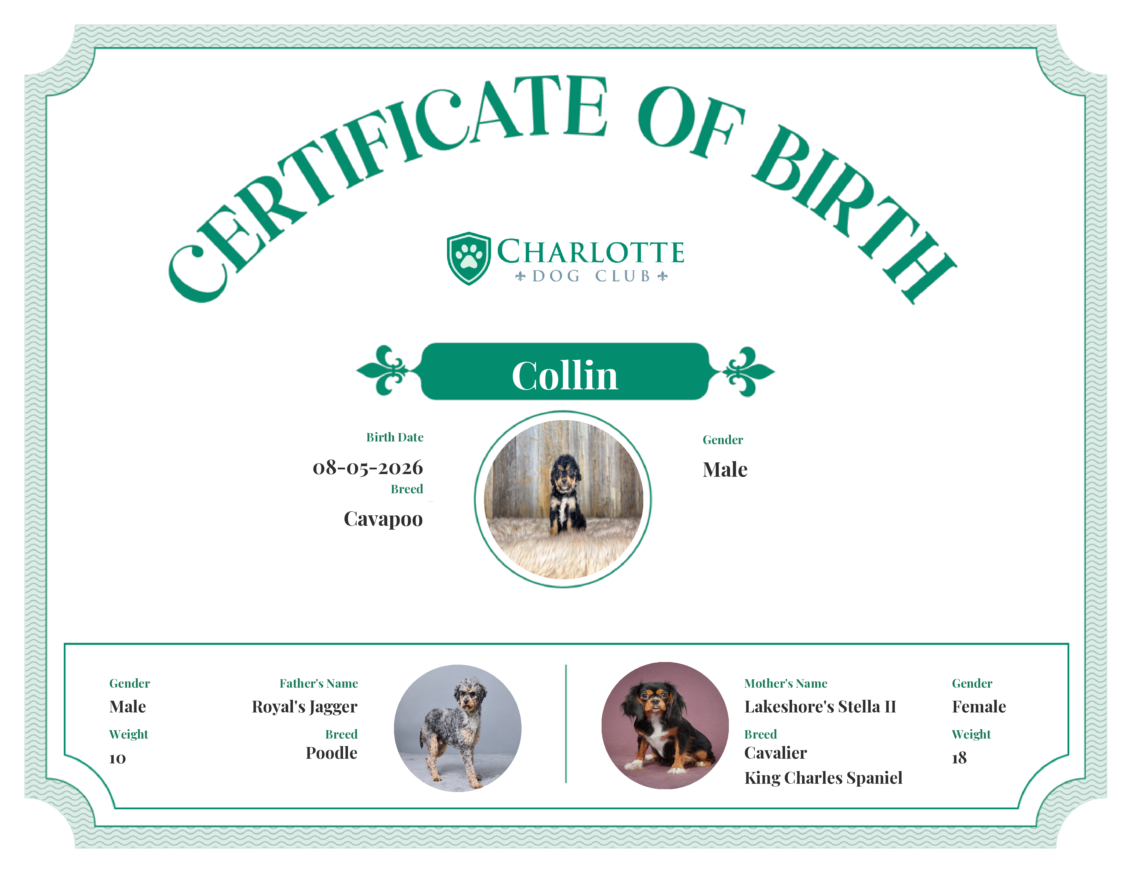 Collin's Birth Certificate