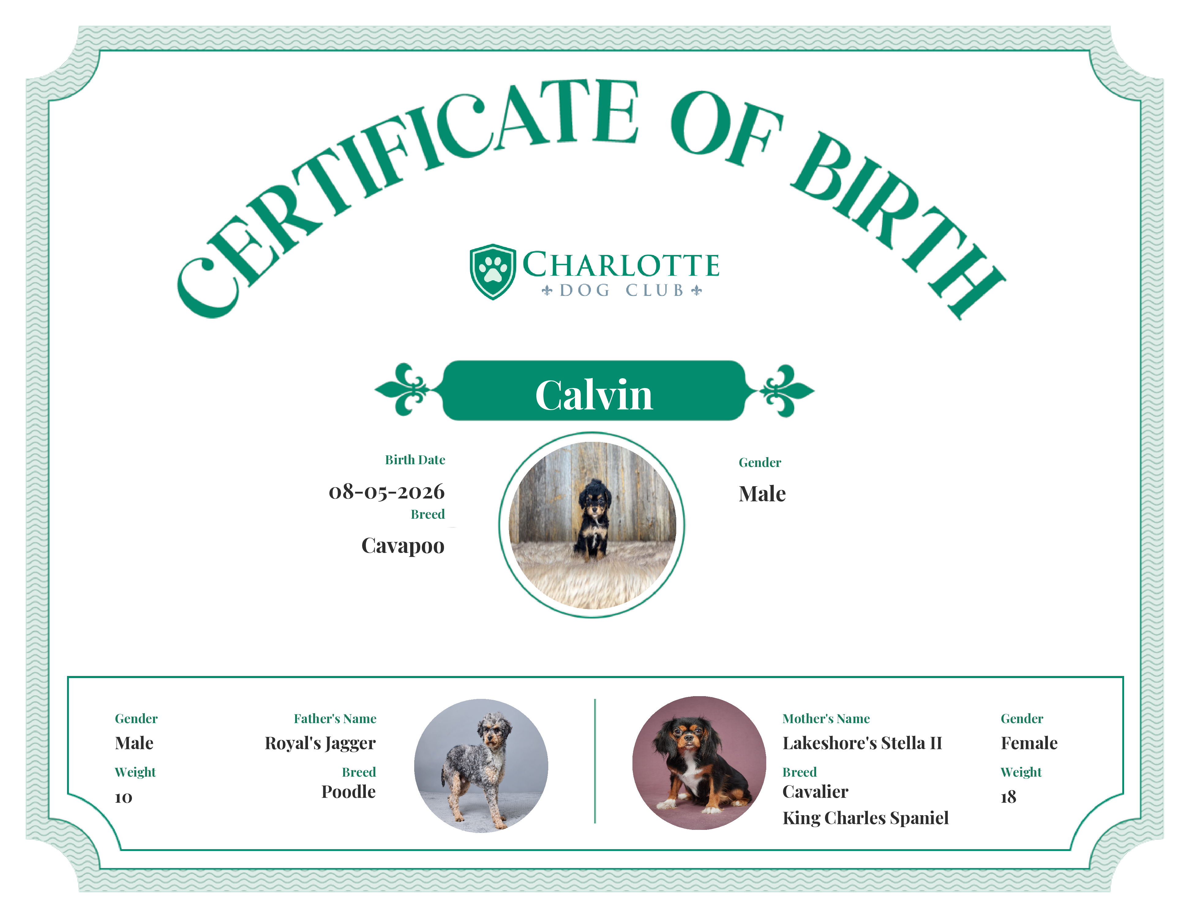 Calvin's Birth Certificate