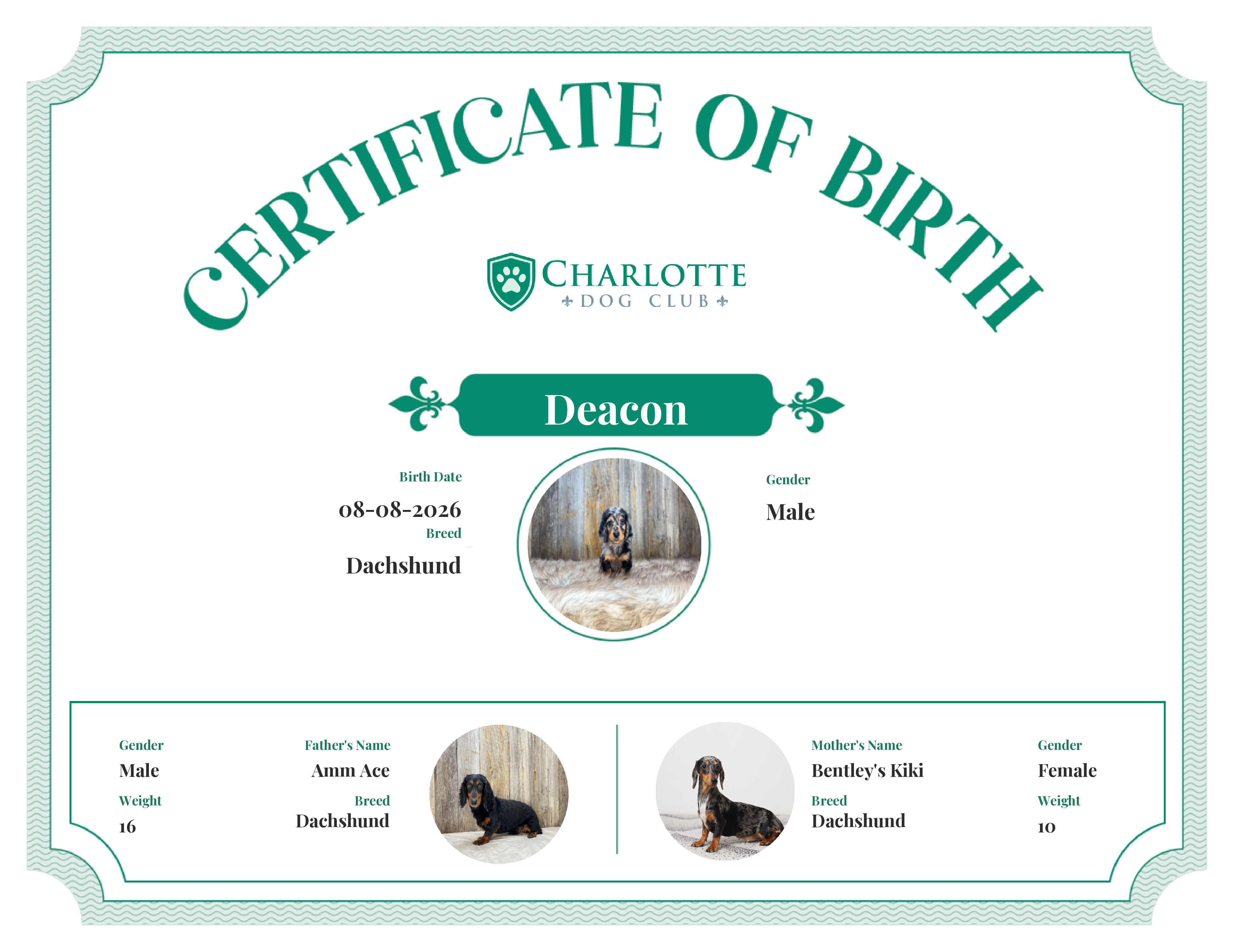 Deacon's Birth Certificate