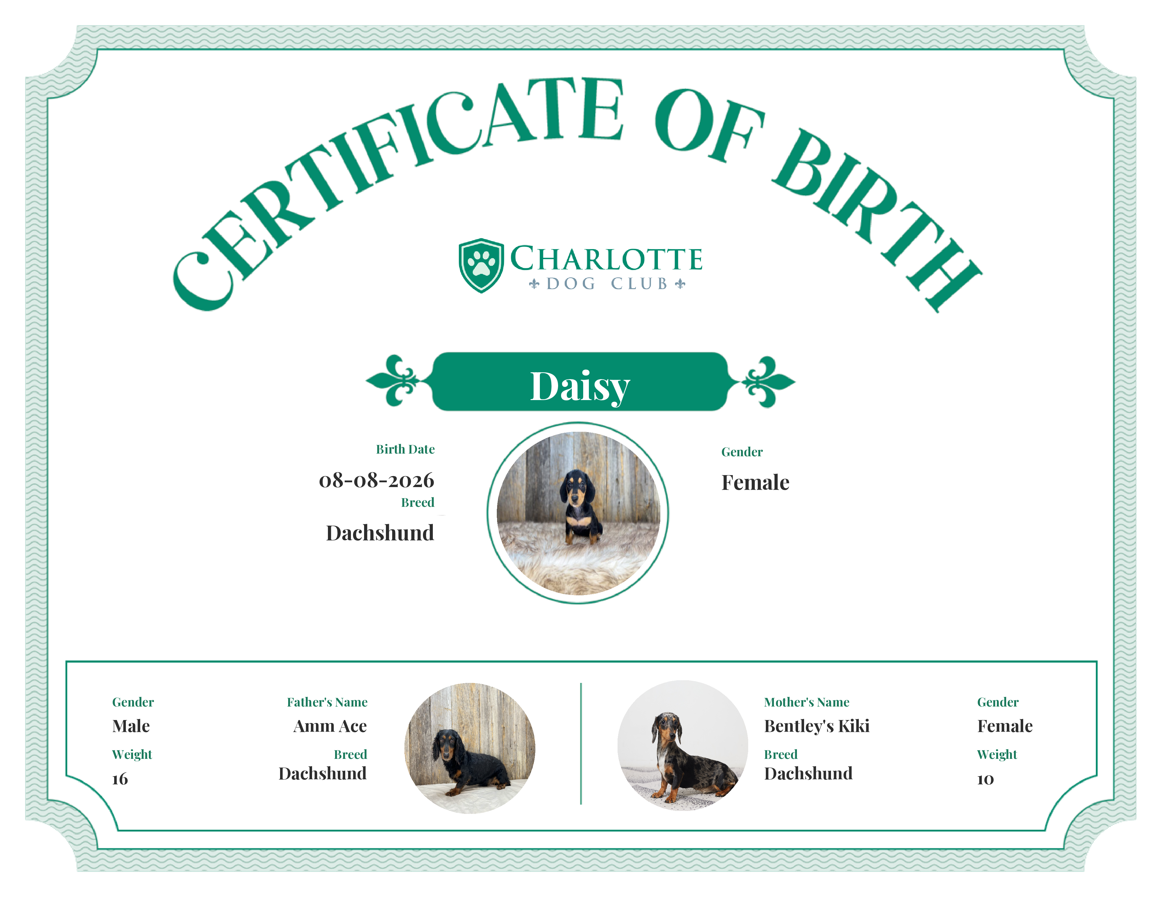 Daisy's Birth Certificate
