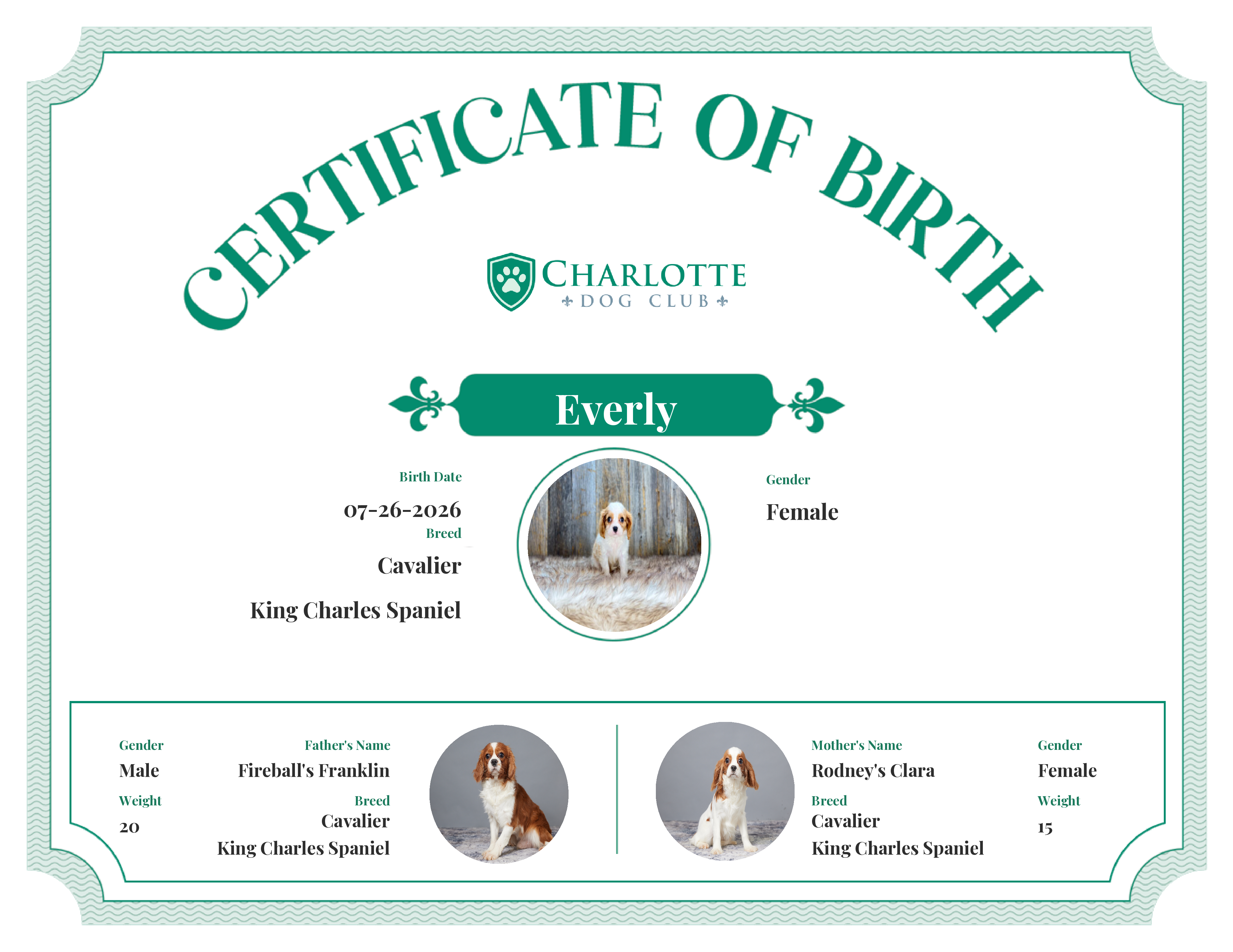 Everly's Birth Certificate