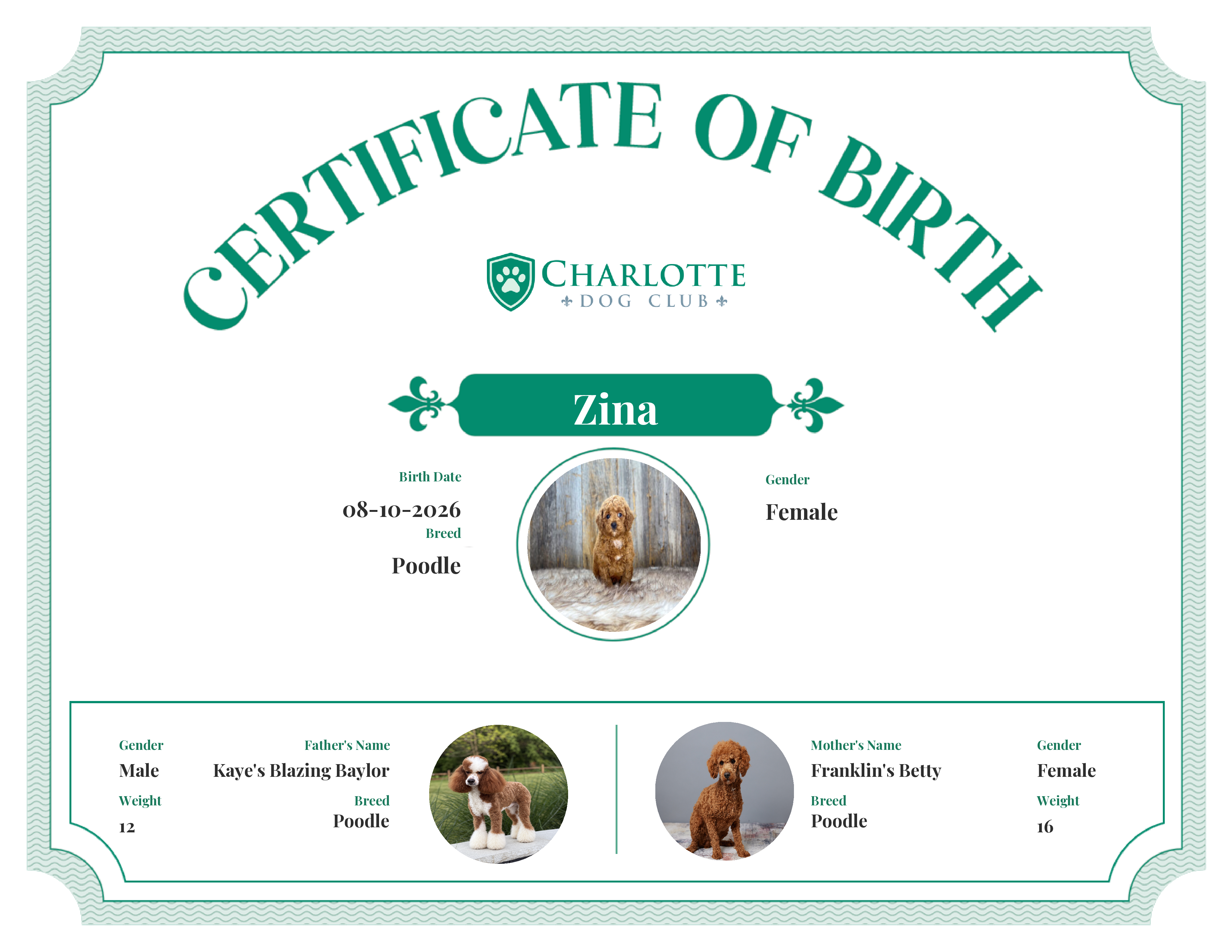 Zina's Birth Certificate