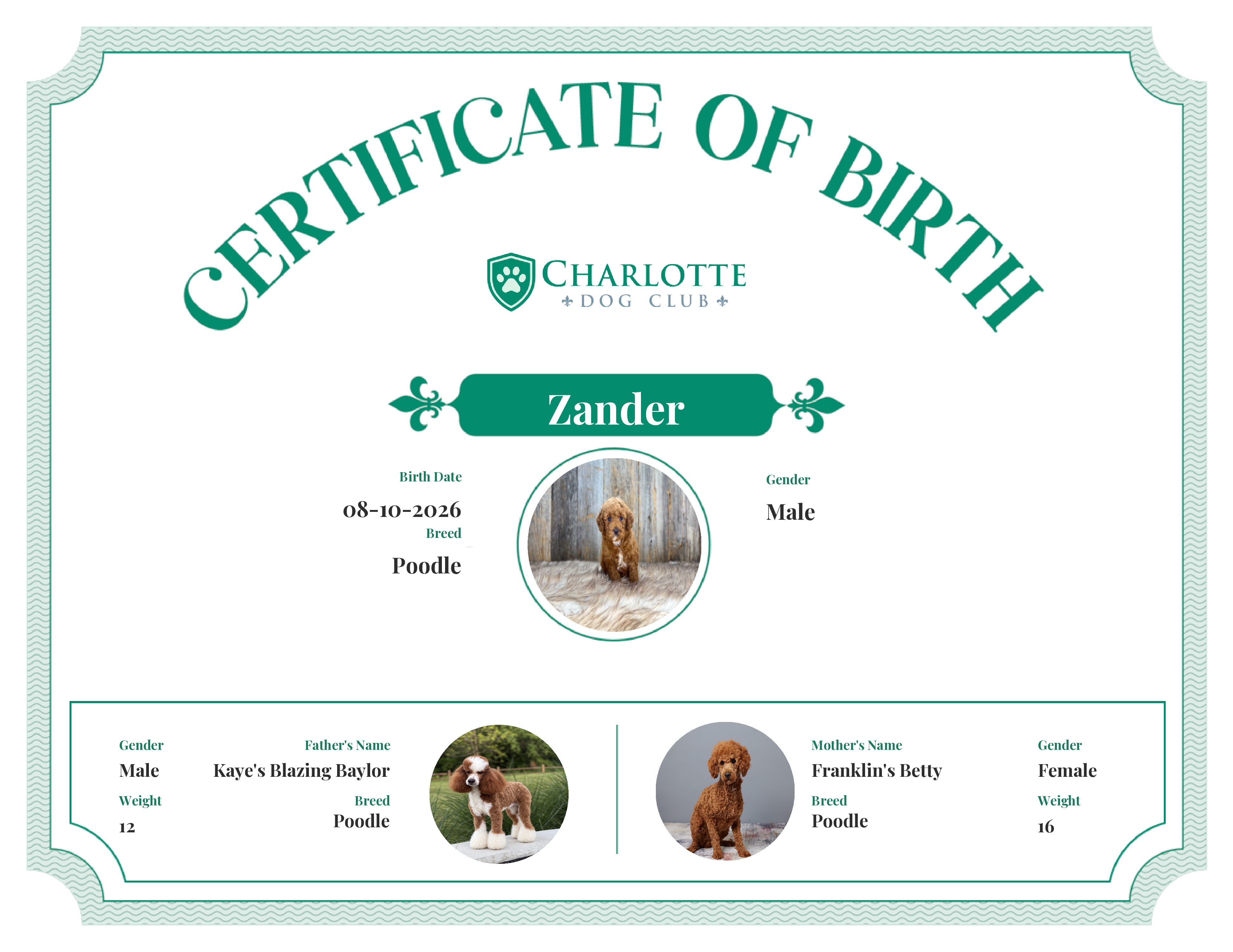 Zander's Birth Certificate