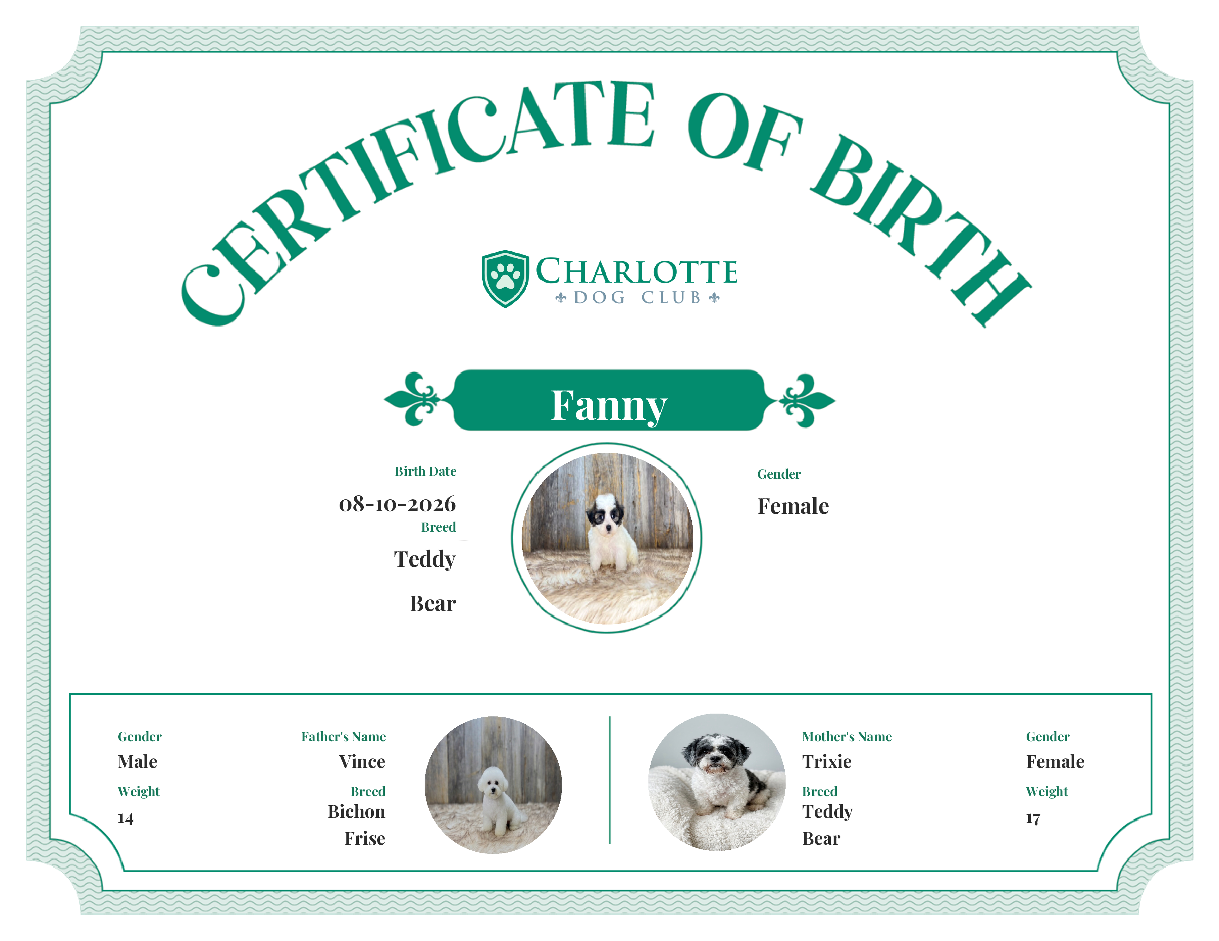 Fanny's Birth Certificate