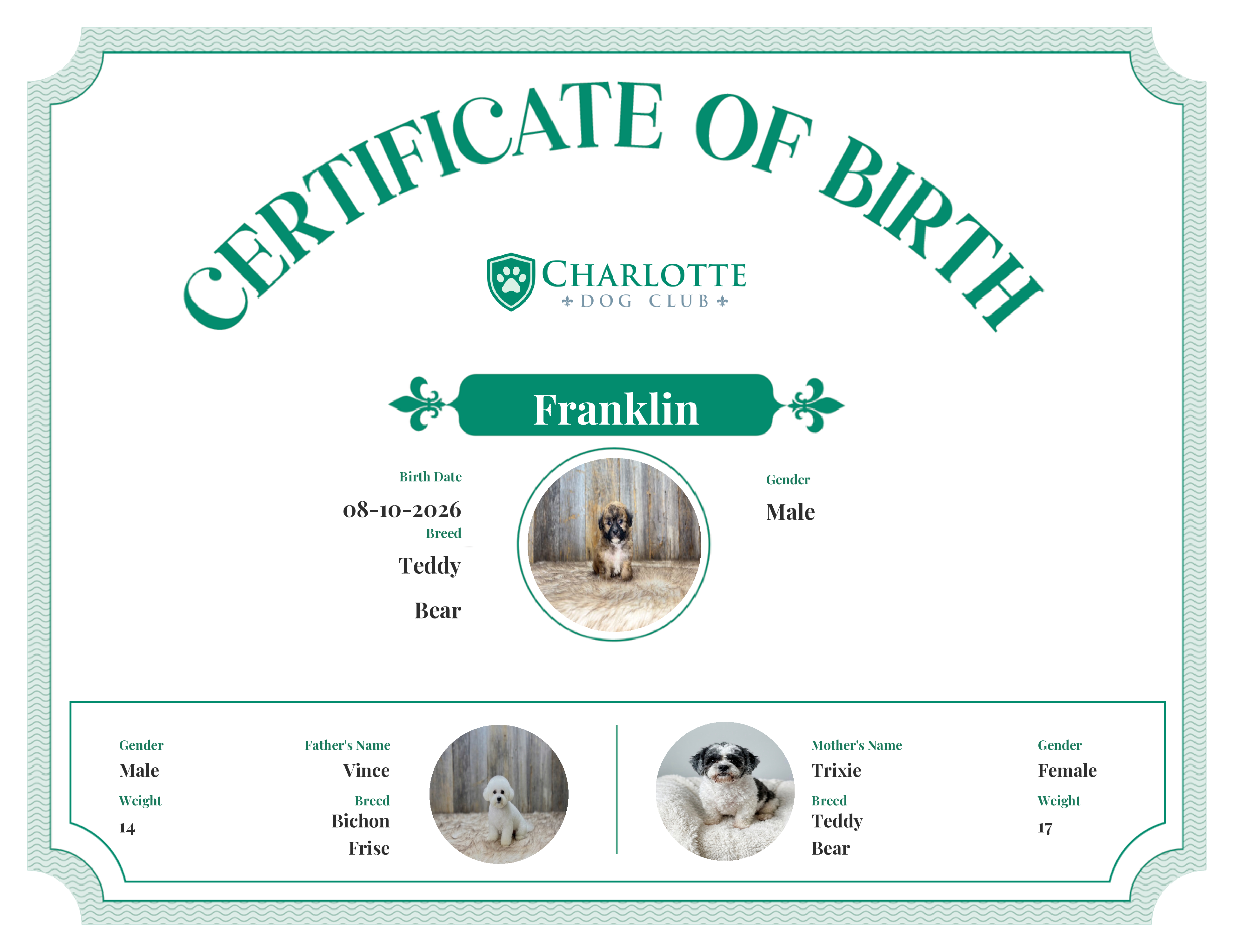 Franklin's Birth Certificate