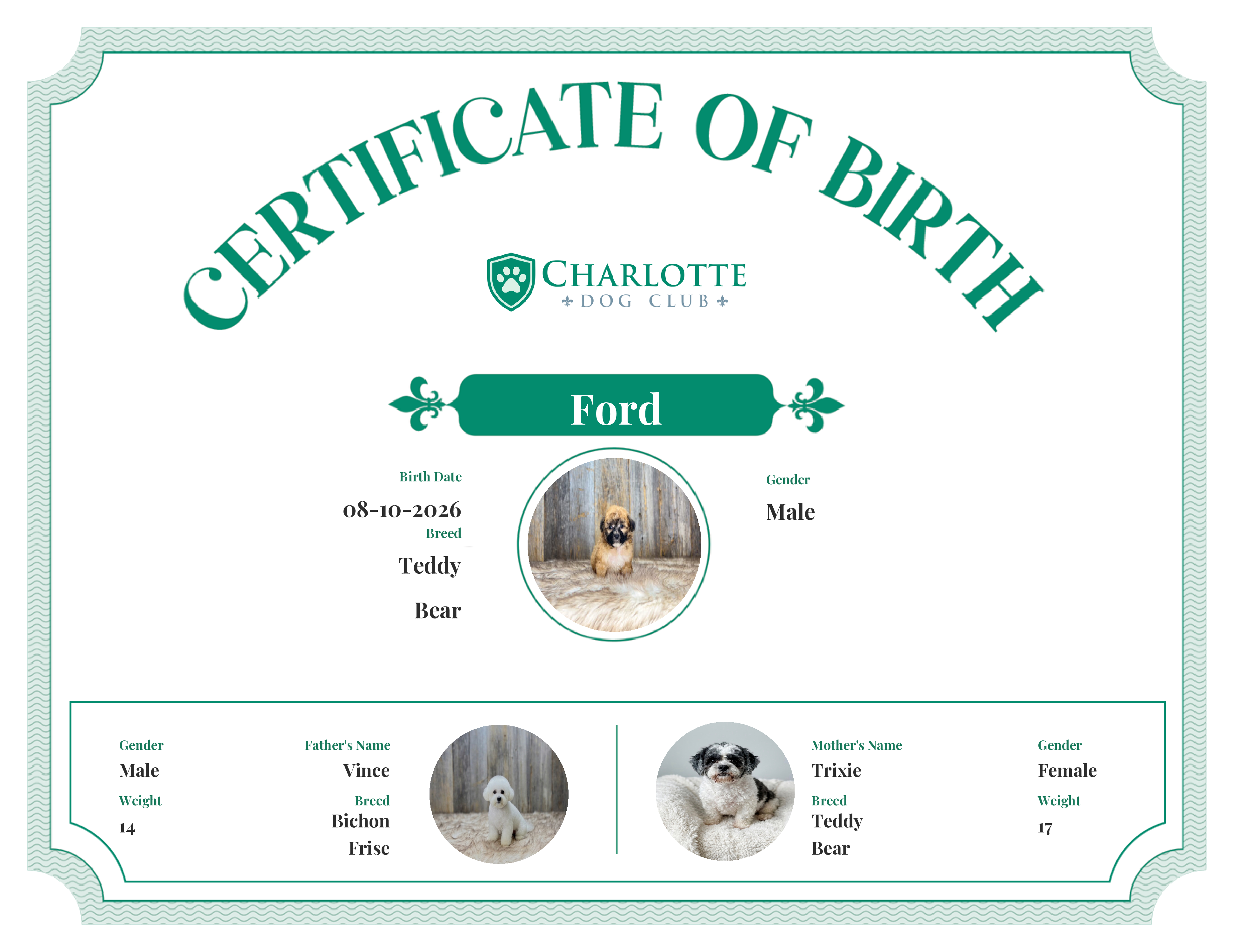 Ford's Birth Certificate