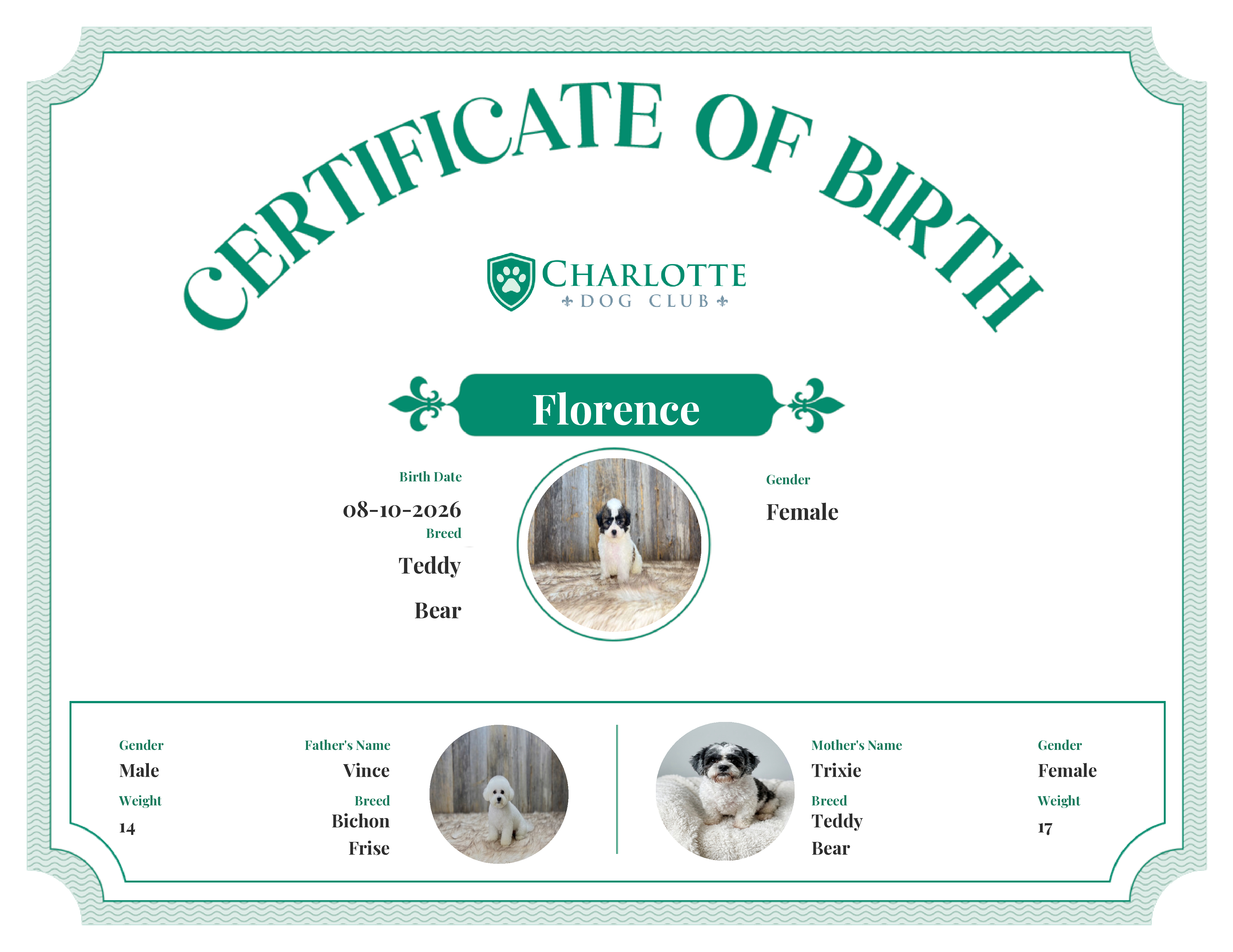 Florence's Birth Certificate