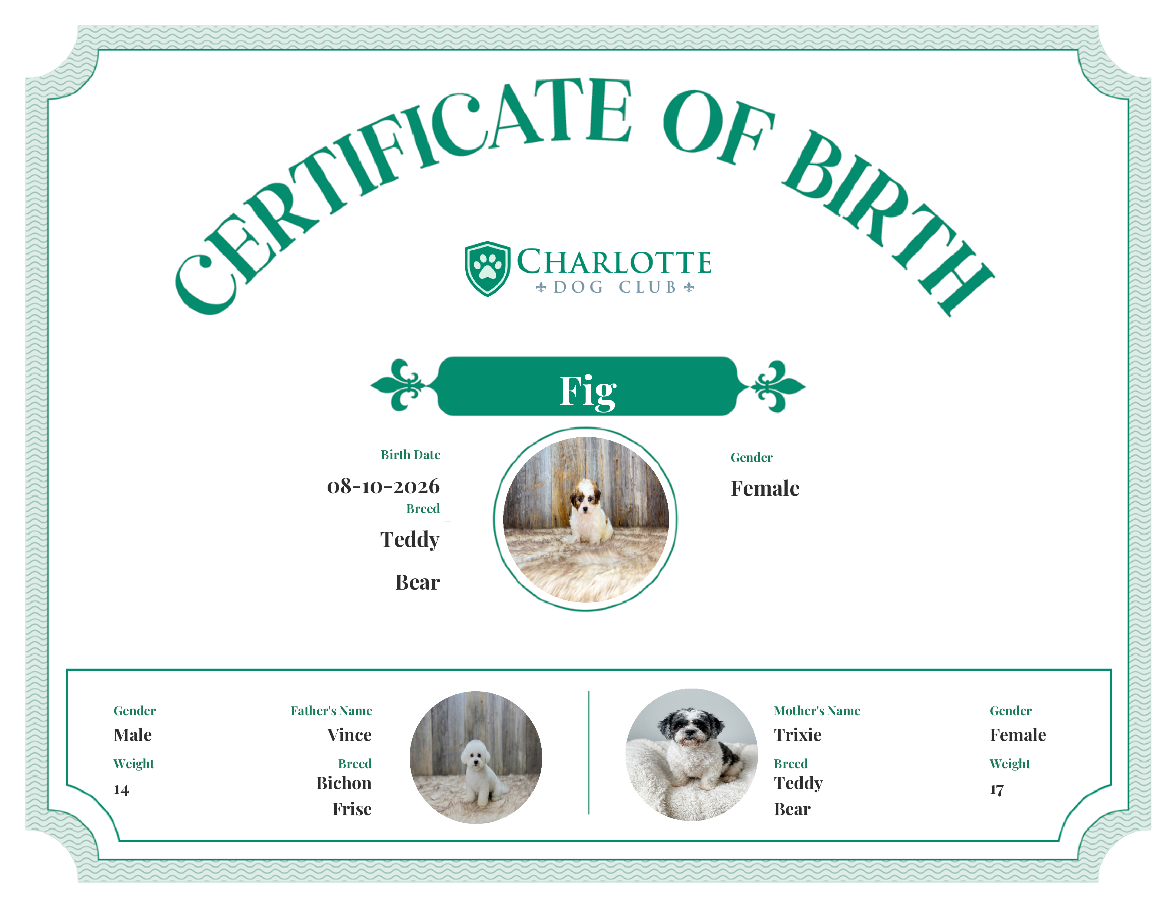 Fig's Birth Certificate