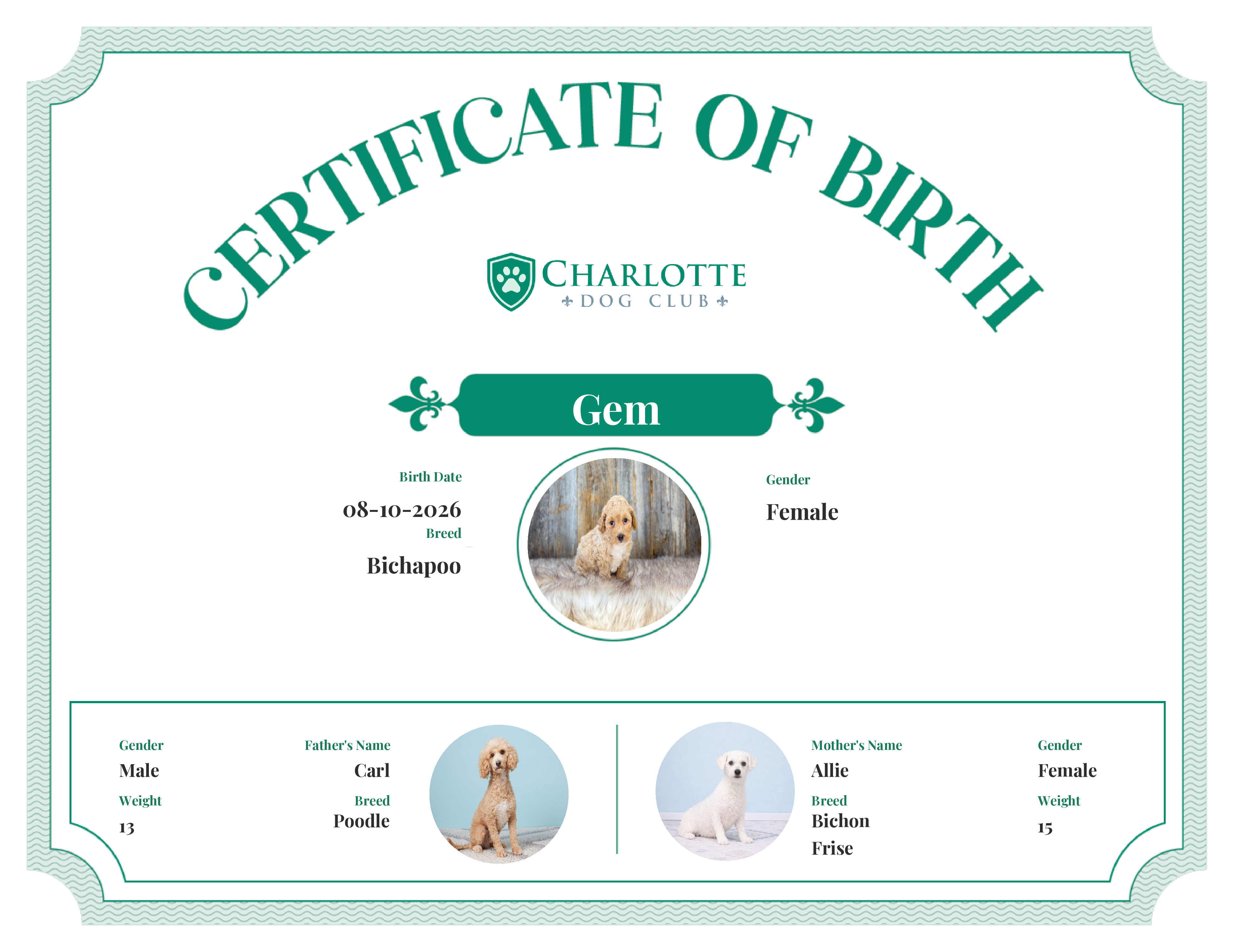 Gem's Birth Certificate