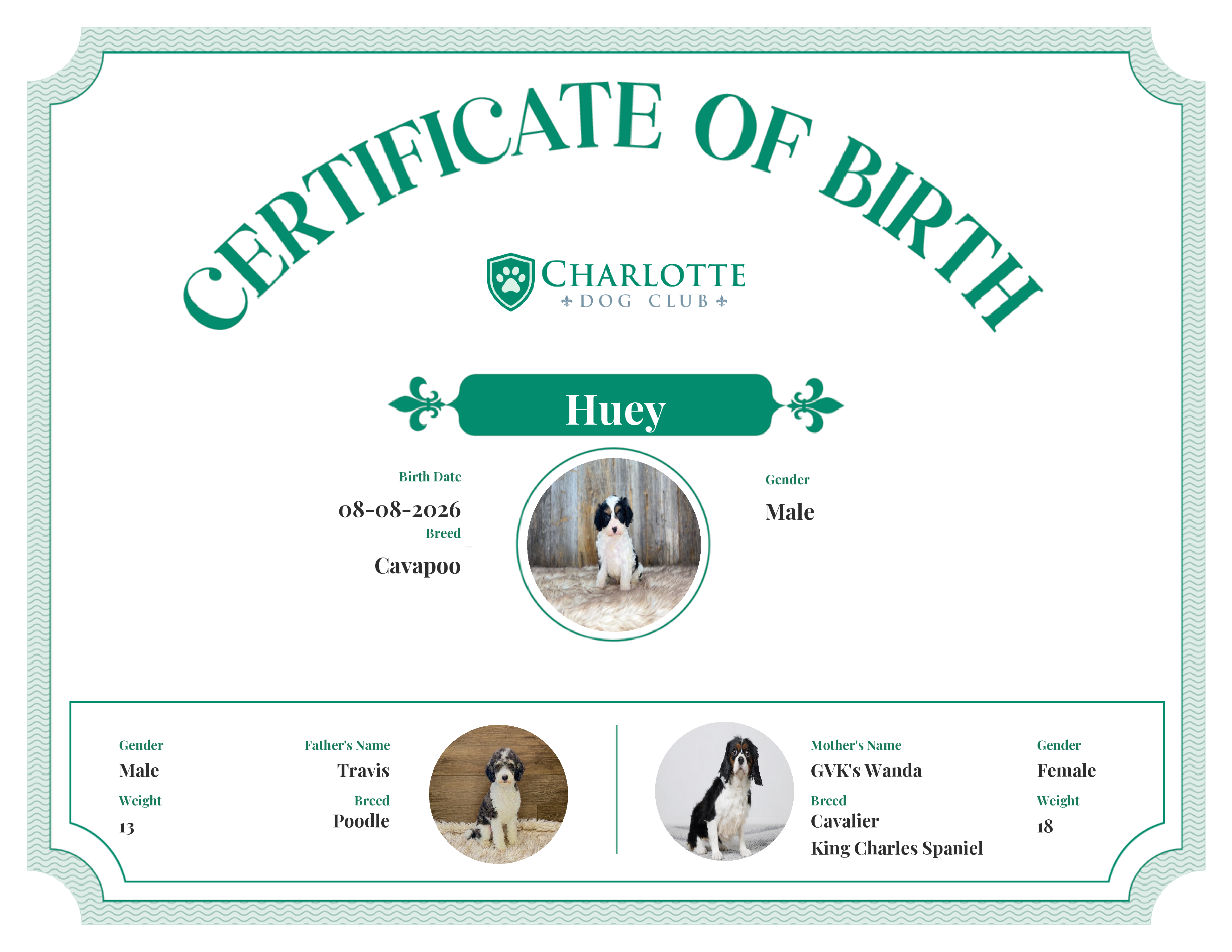 Huey's Birth Certificate
