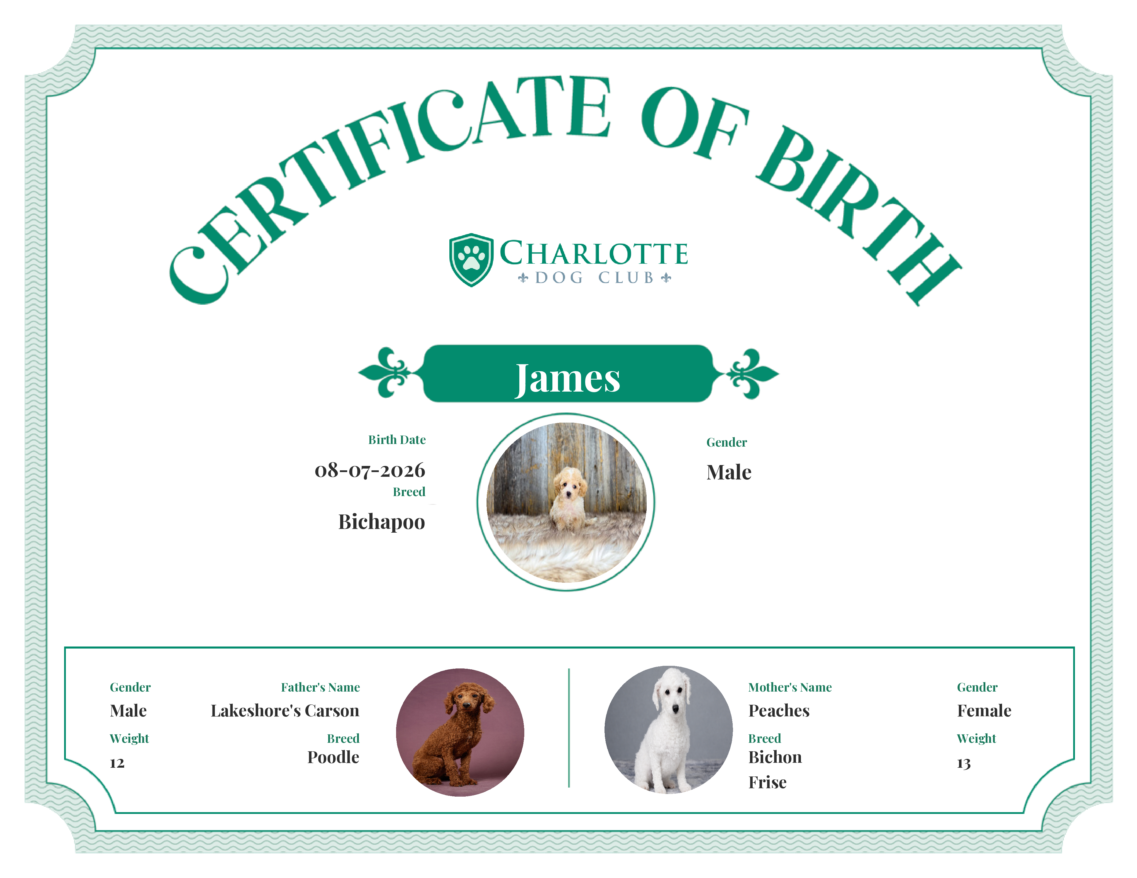 James's Birth Certificate
